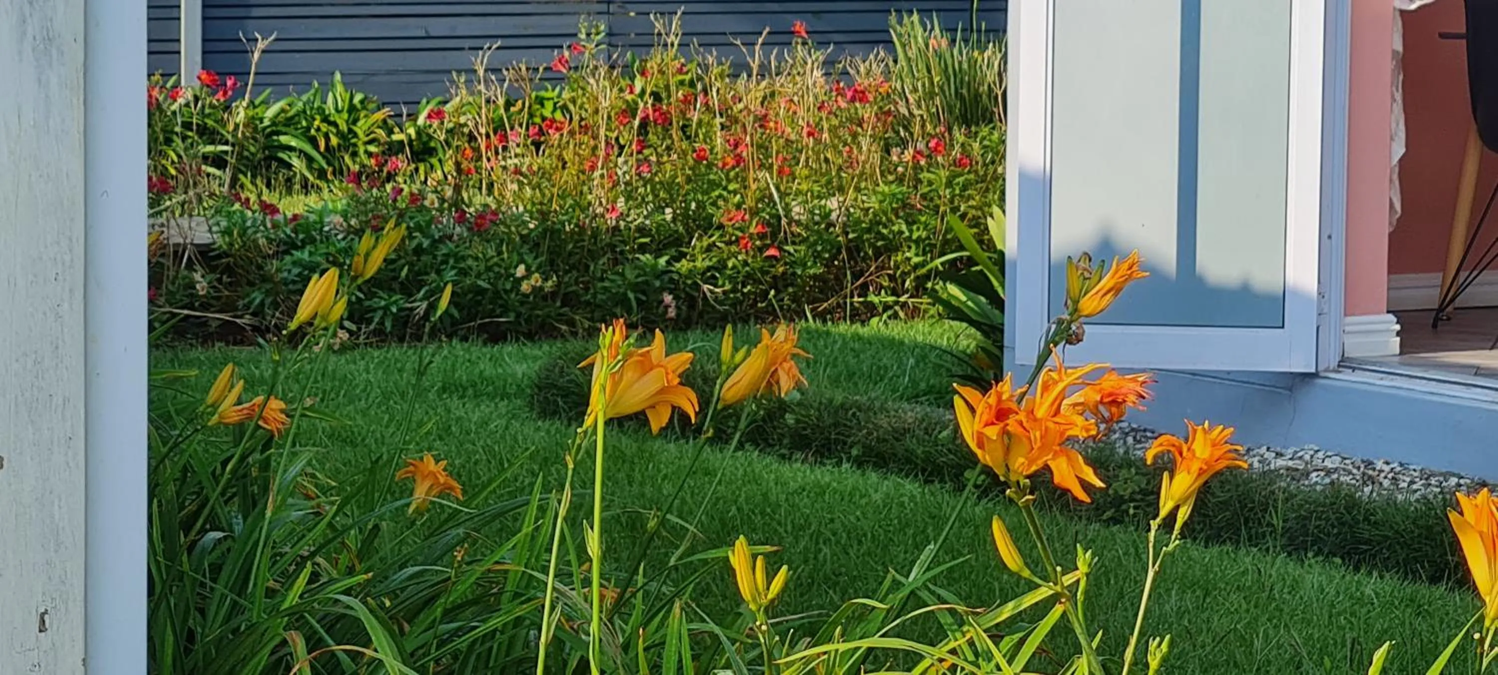 Property building in Mosswood Bed & Breakfast