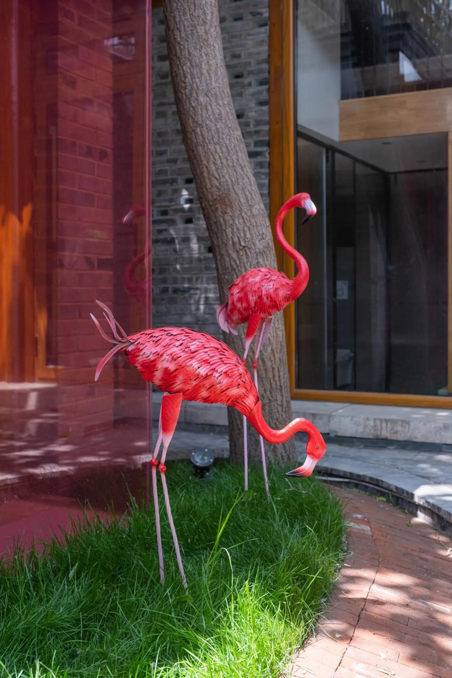 Other Animals in Beijing No 5 Courtyard