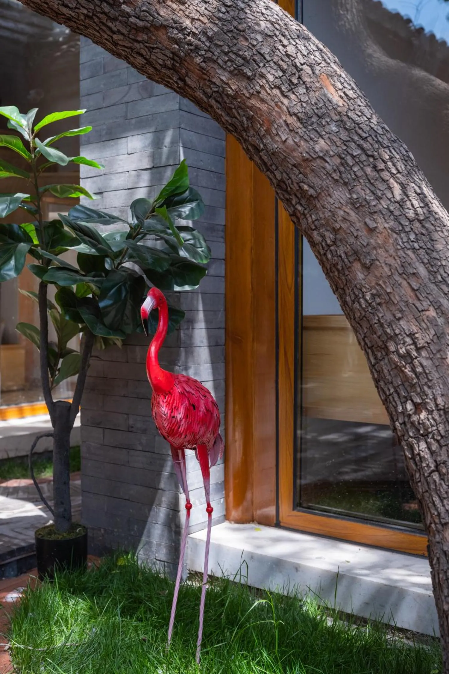 Spring, Other Animals in Beijing No 5 Courtyard