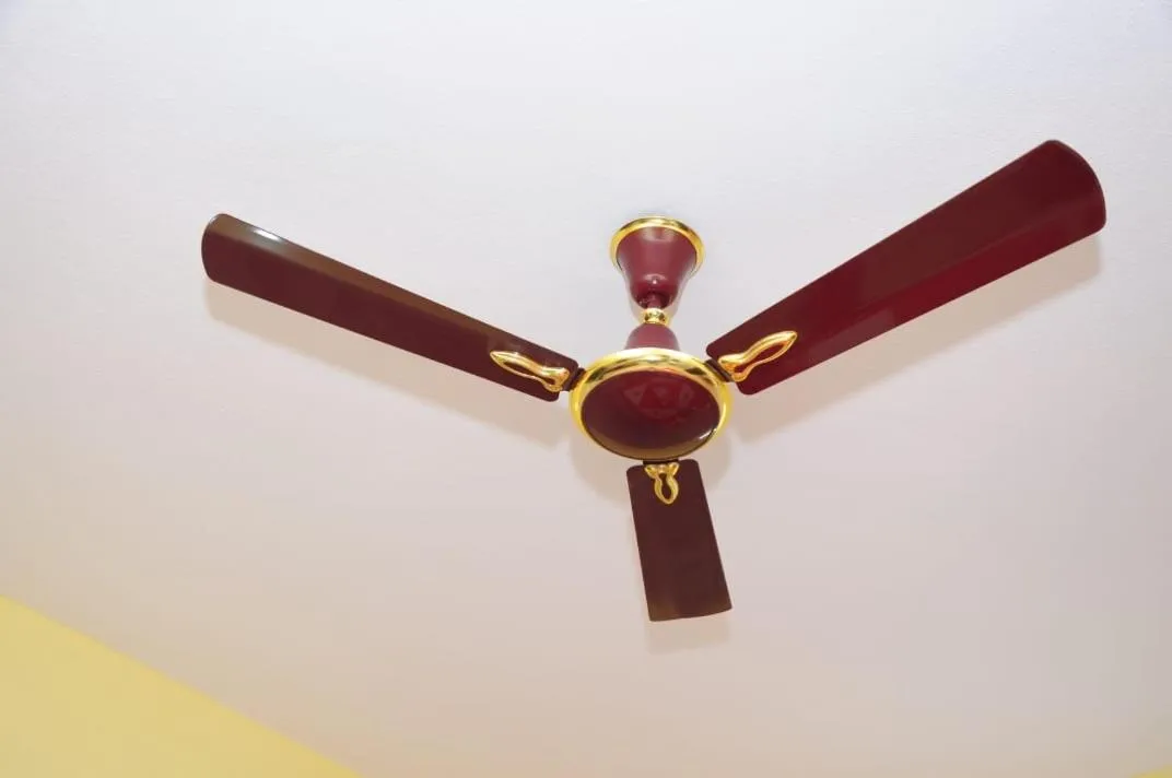 fireplace in Aryan residency