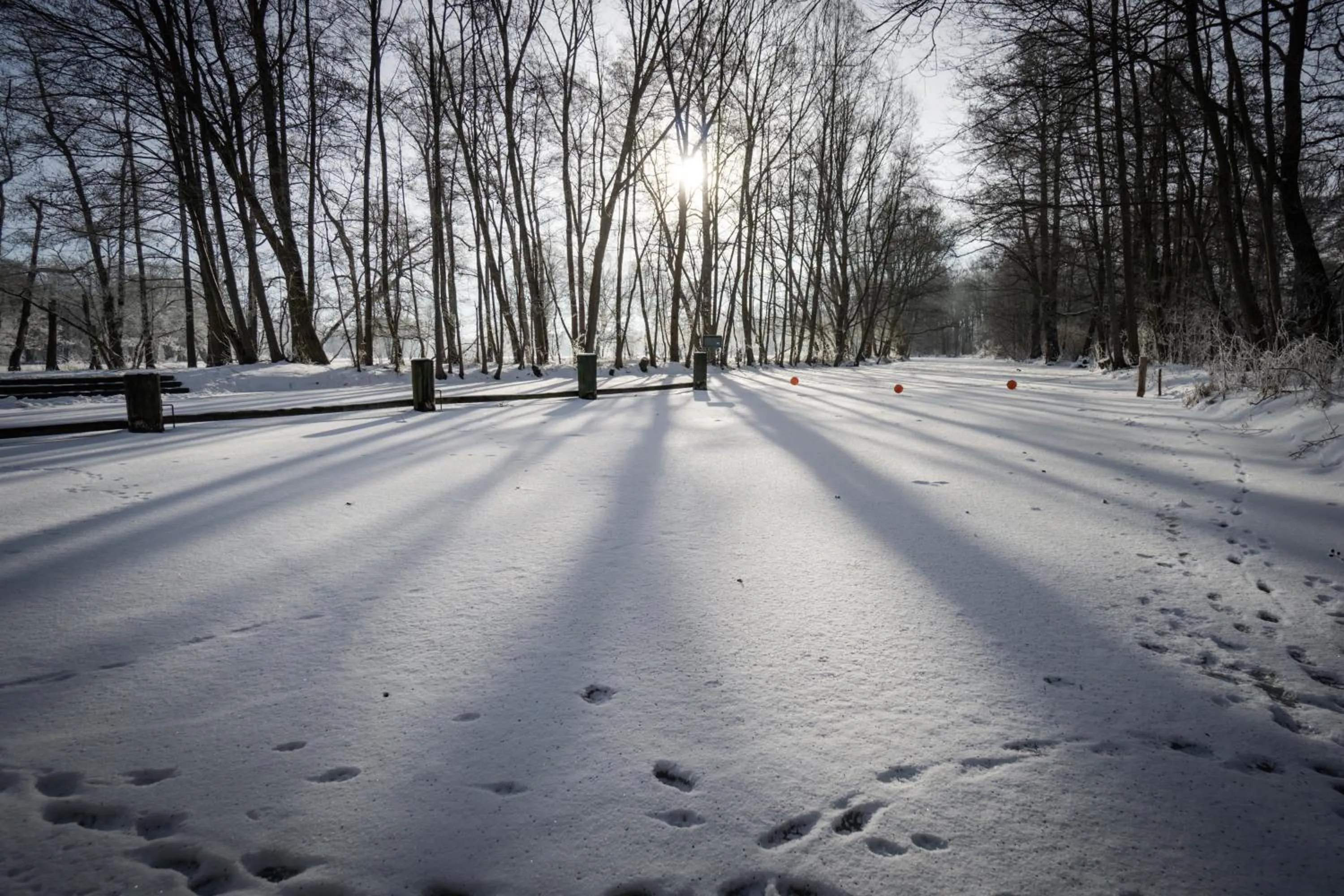 Natural landscape in Waldhotel Eiche