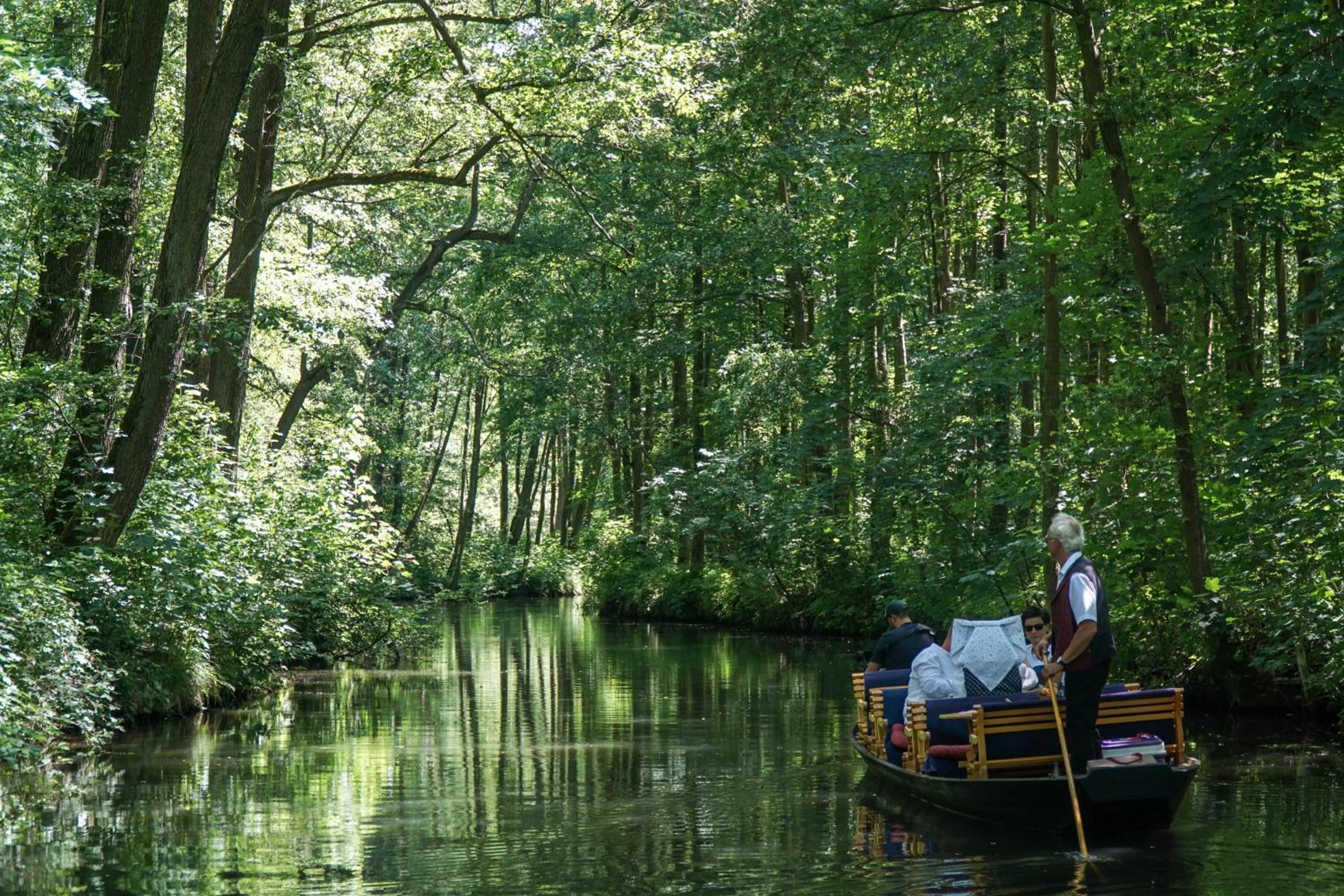 Natural landscape in Waldhotel Eiche