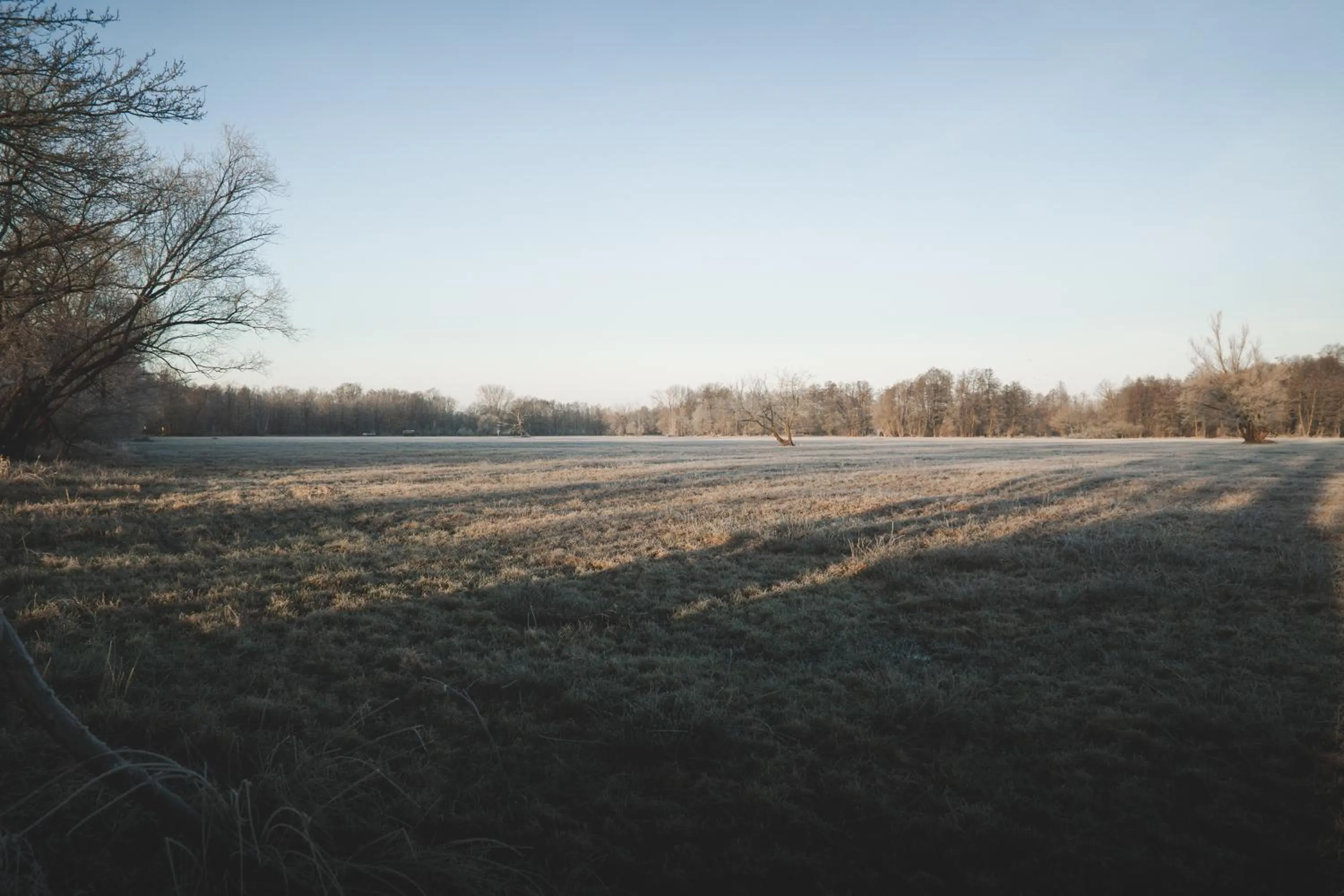 Natural landscape in Waldhotel Eiche
