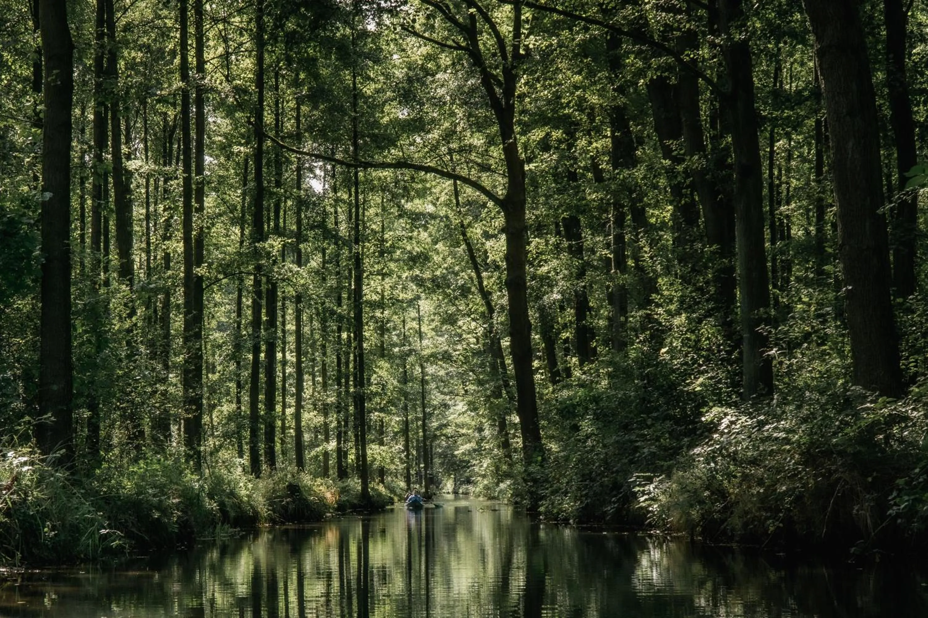 Natural landscape in Waldhotel Eiche