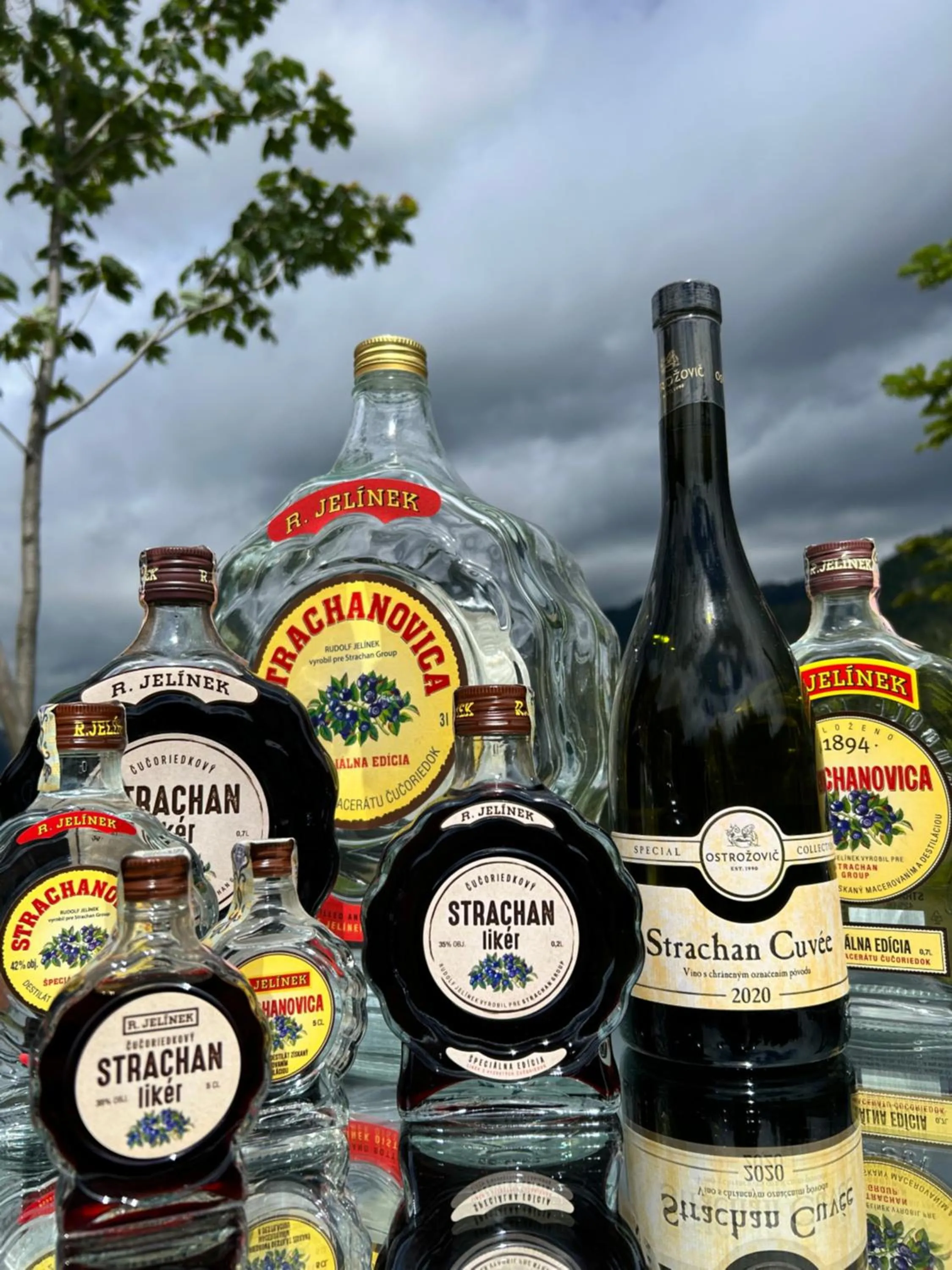 Alcoholic drinks in Hotel Strachan Family Jasná