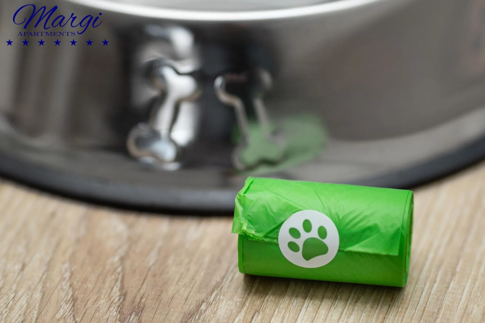 Pets in MARGI Absynth Apartament LARGE & COMFY