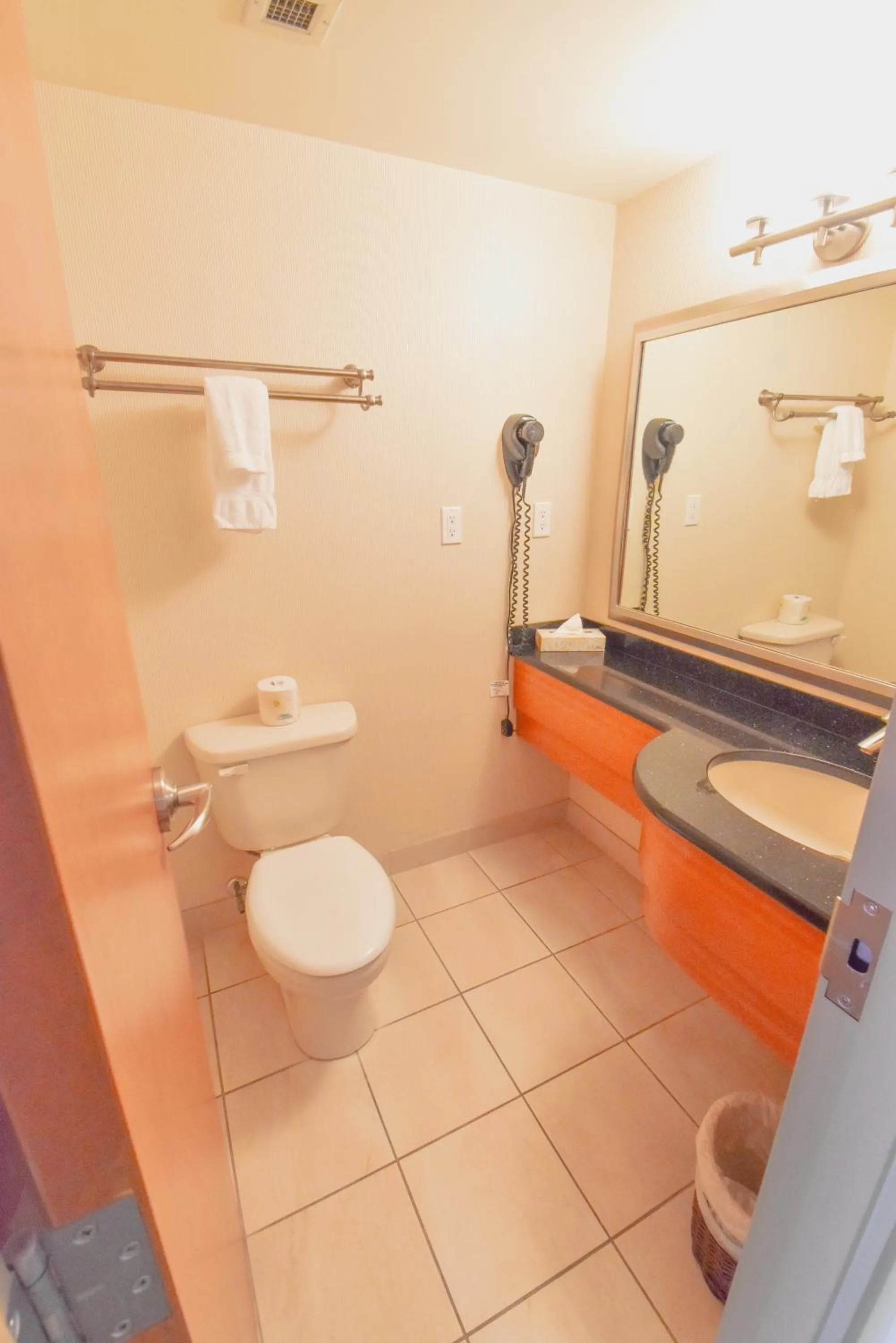 Bathroom in Canad Inns Destination Centre Polo Park