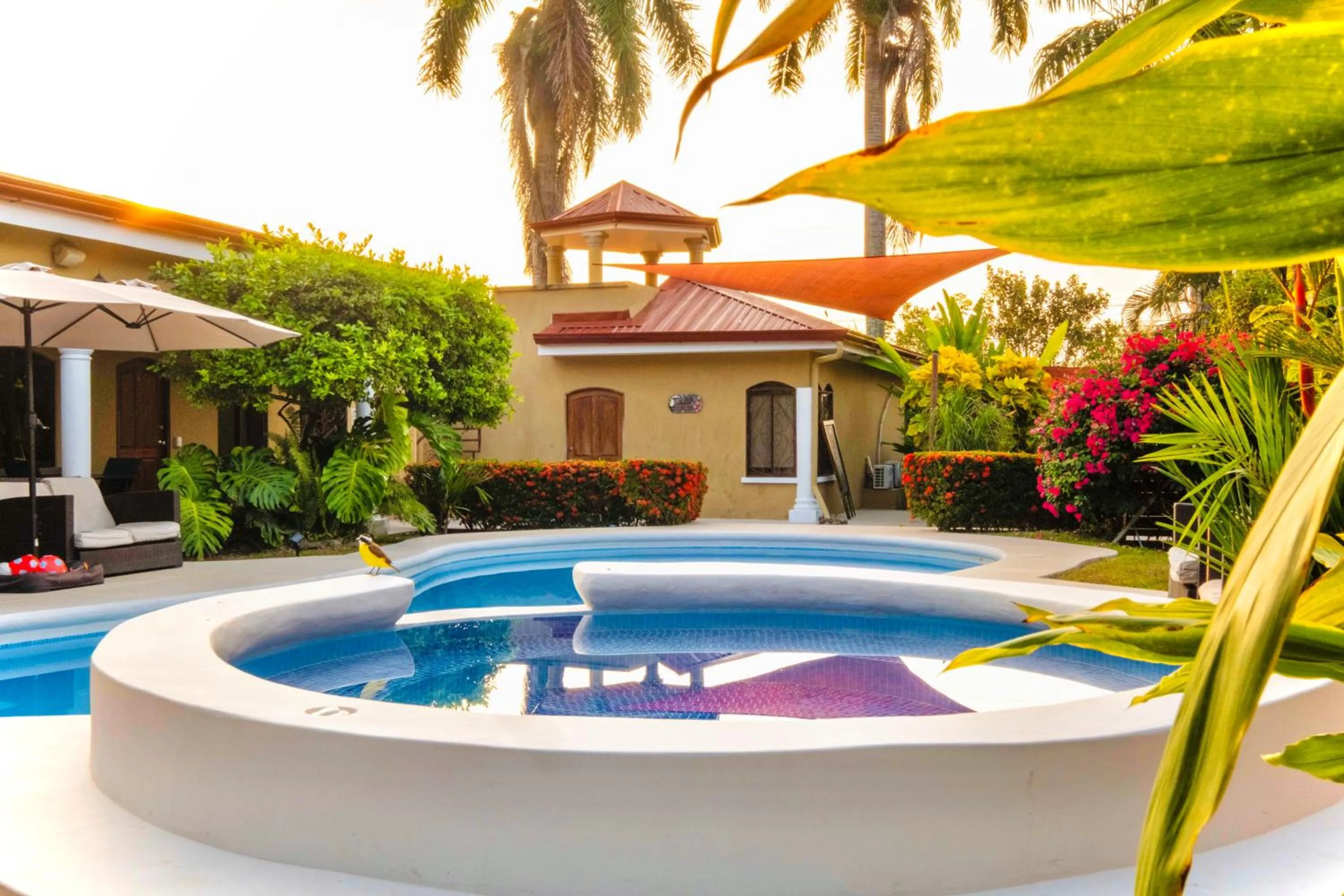 Swimming pool in Las Brisas Resort and Villas