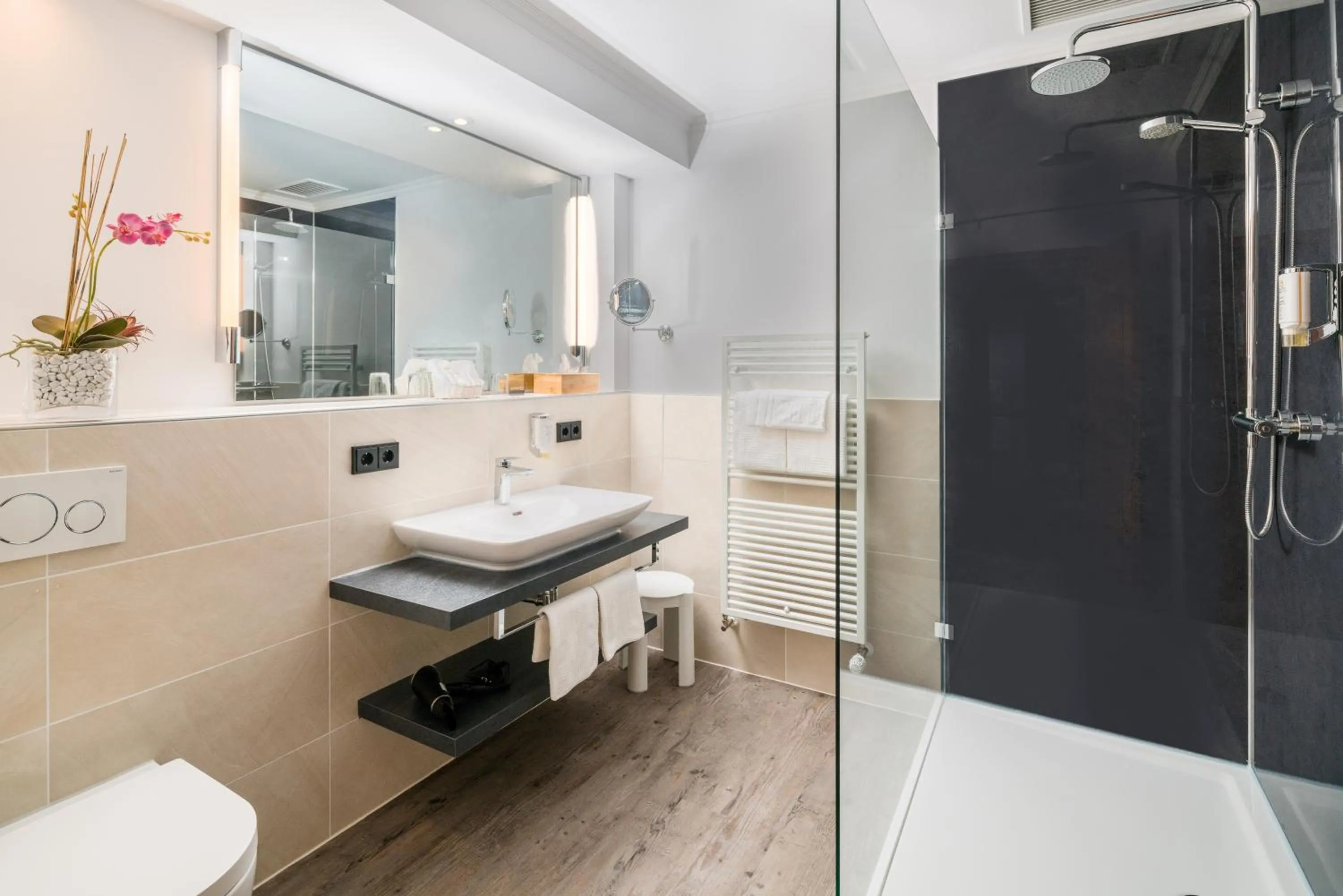 Shower in Hotel Celler Tor