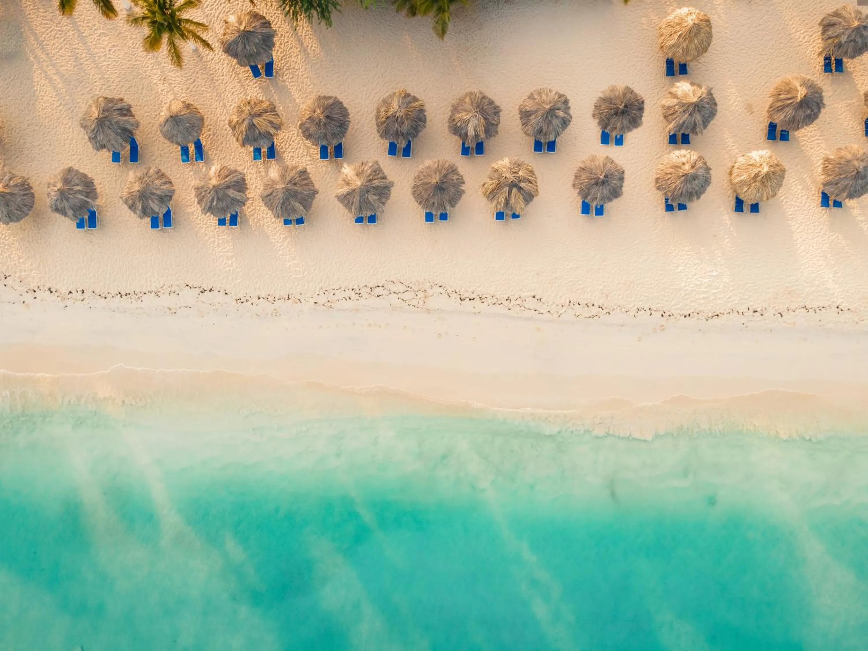 Beach in Amsterdam Manor Beach Resort