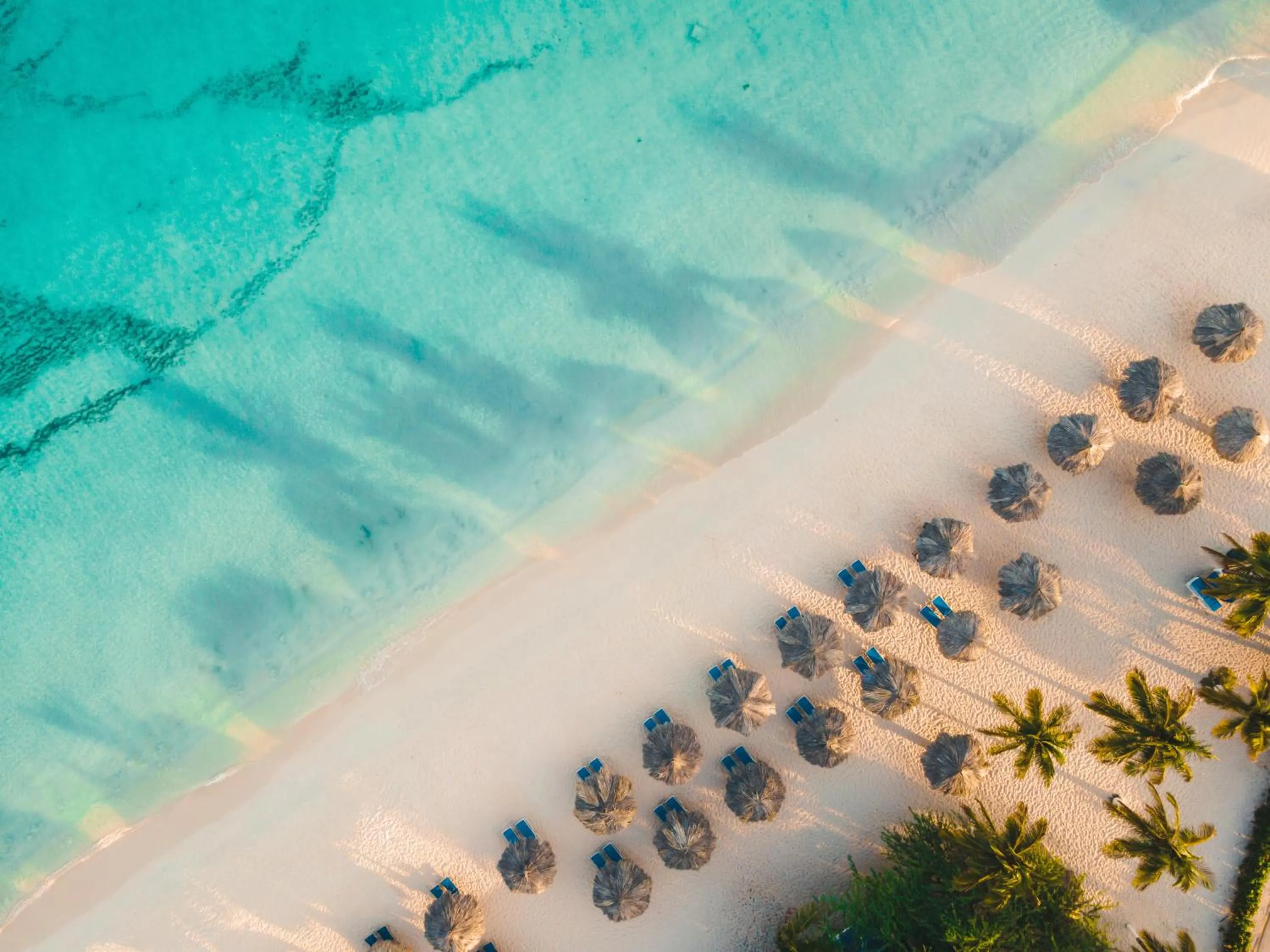 Beach in Amsterdam Manor Beach Resort