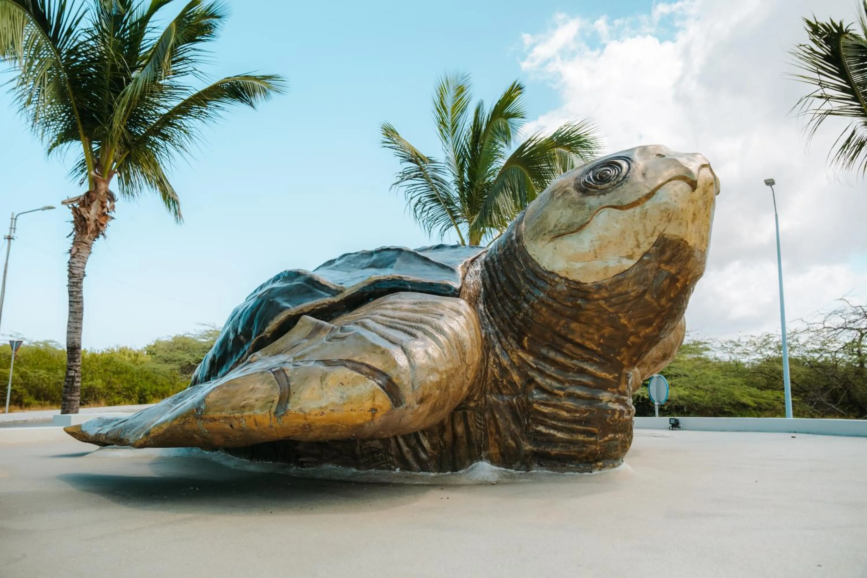 Beach in Amsterdam Manor Beach Resort