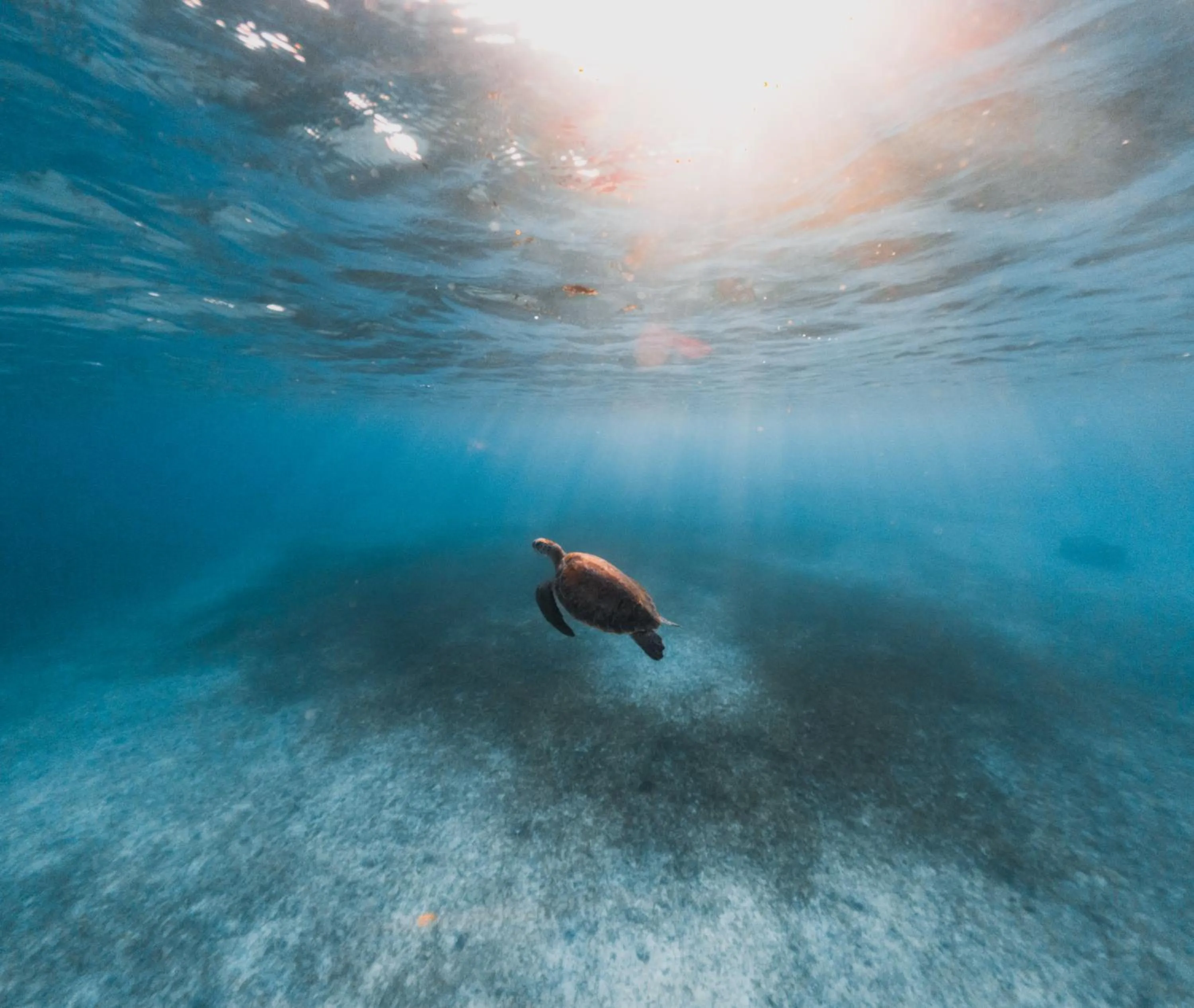 Beach in Amsterdam Manor Beach Resort