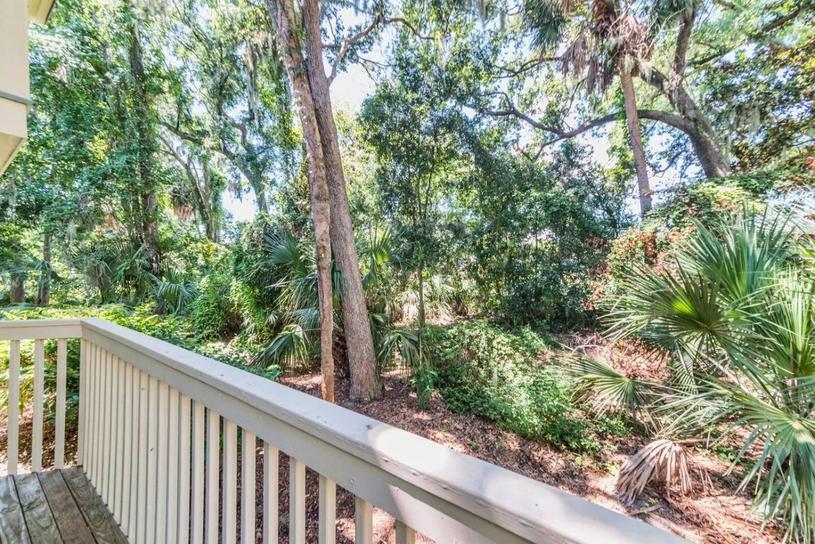 View (from property/room) in Coral Reef Resort