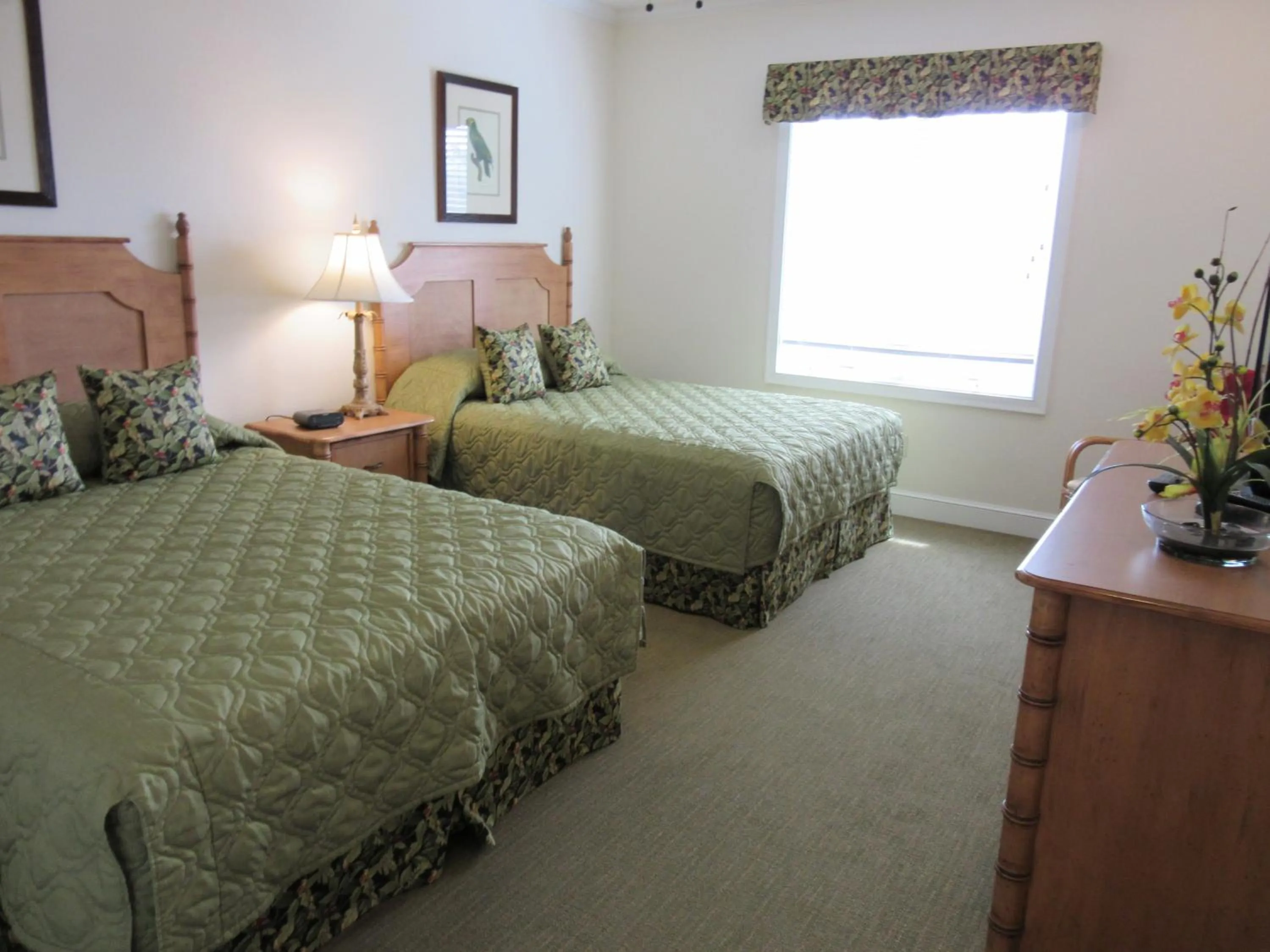 Day, Bed in Coral Sands Resort by Palmera