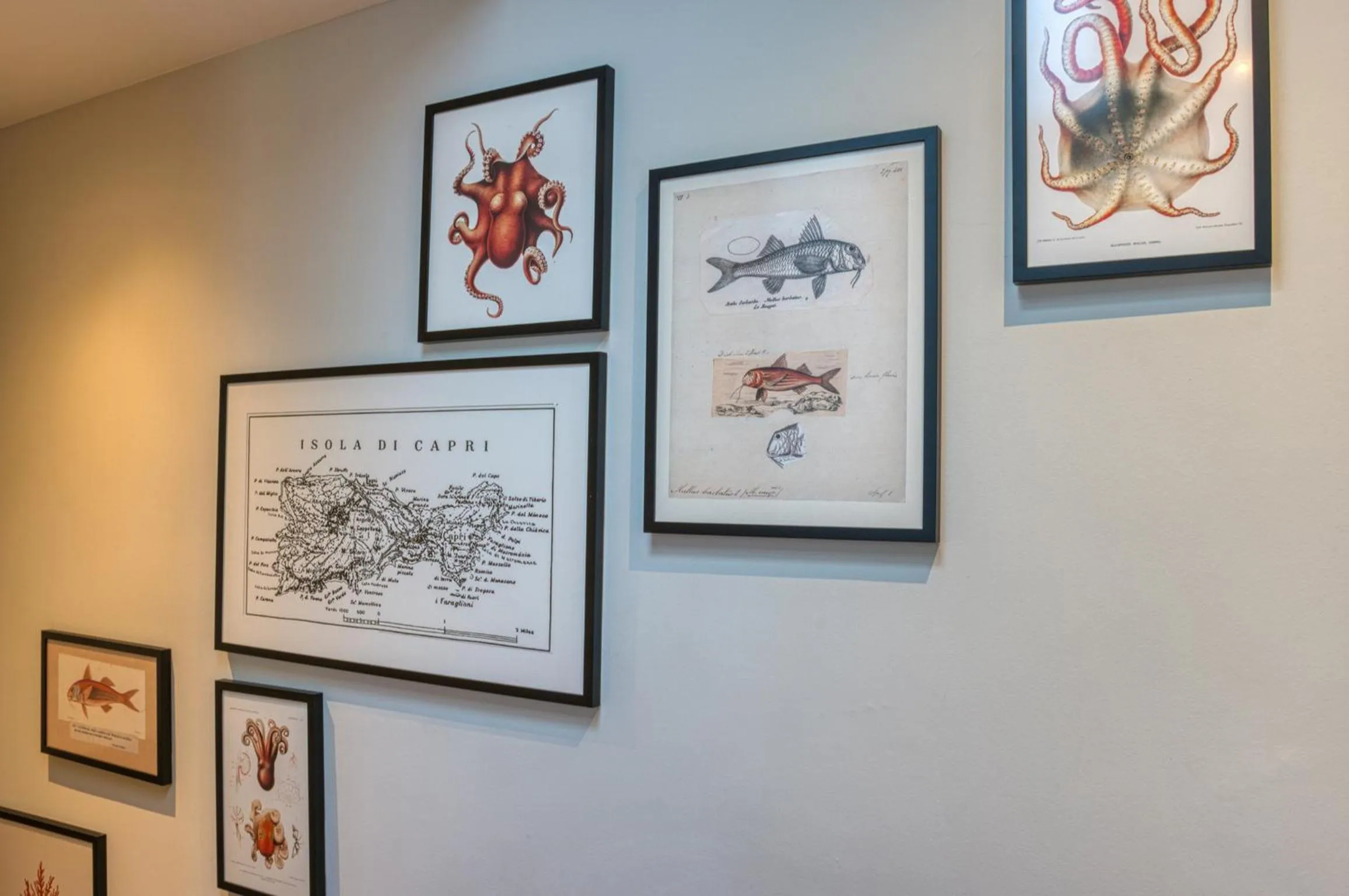 Area and facilities in Boutique 53 & 56 Hamburg City, Trademark Collection by Wyndham