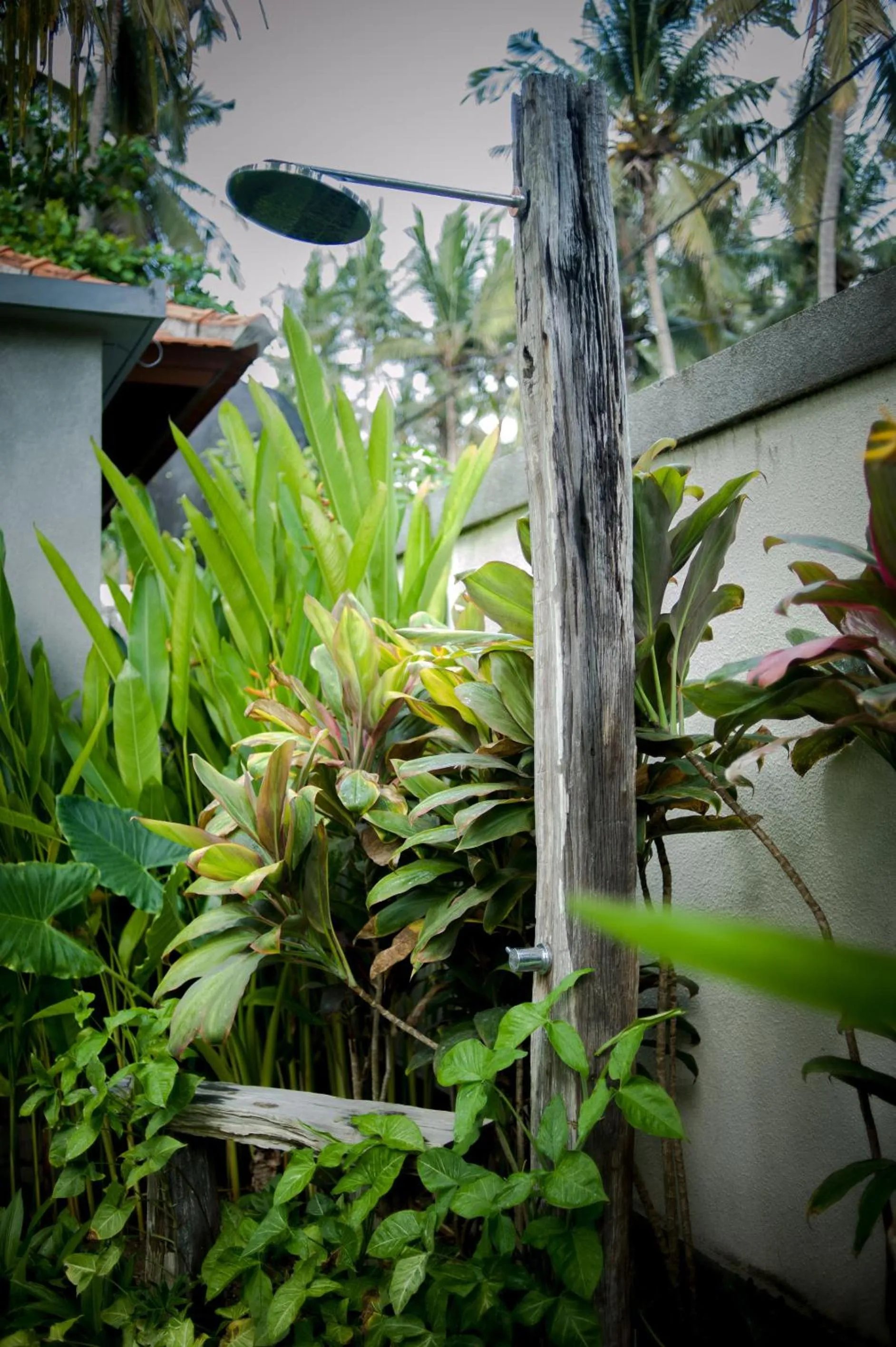 Shower in Akatara Hotel