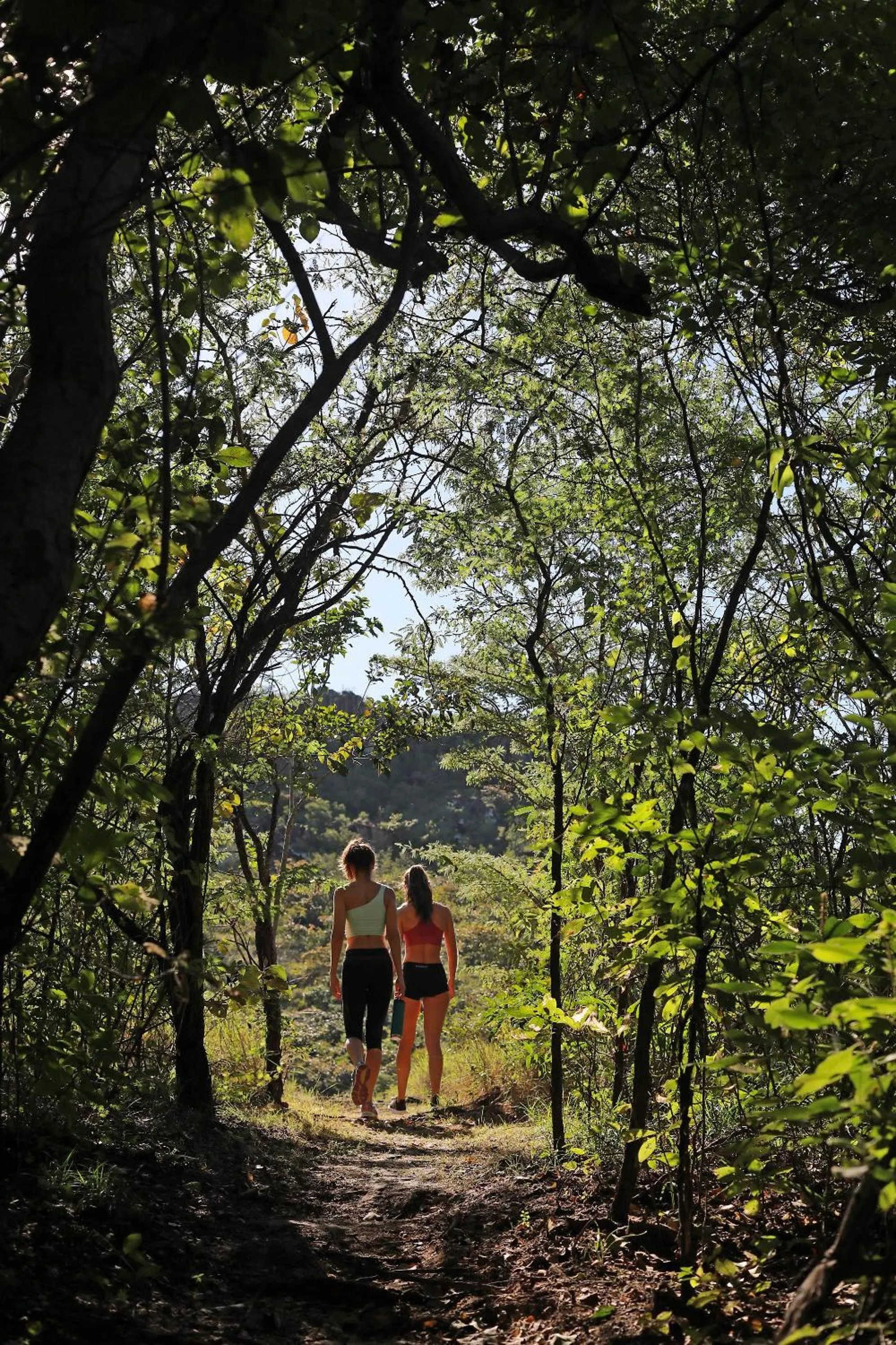 Natural landscape in Rio Perdido Hotel & Thermal River