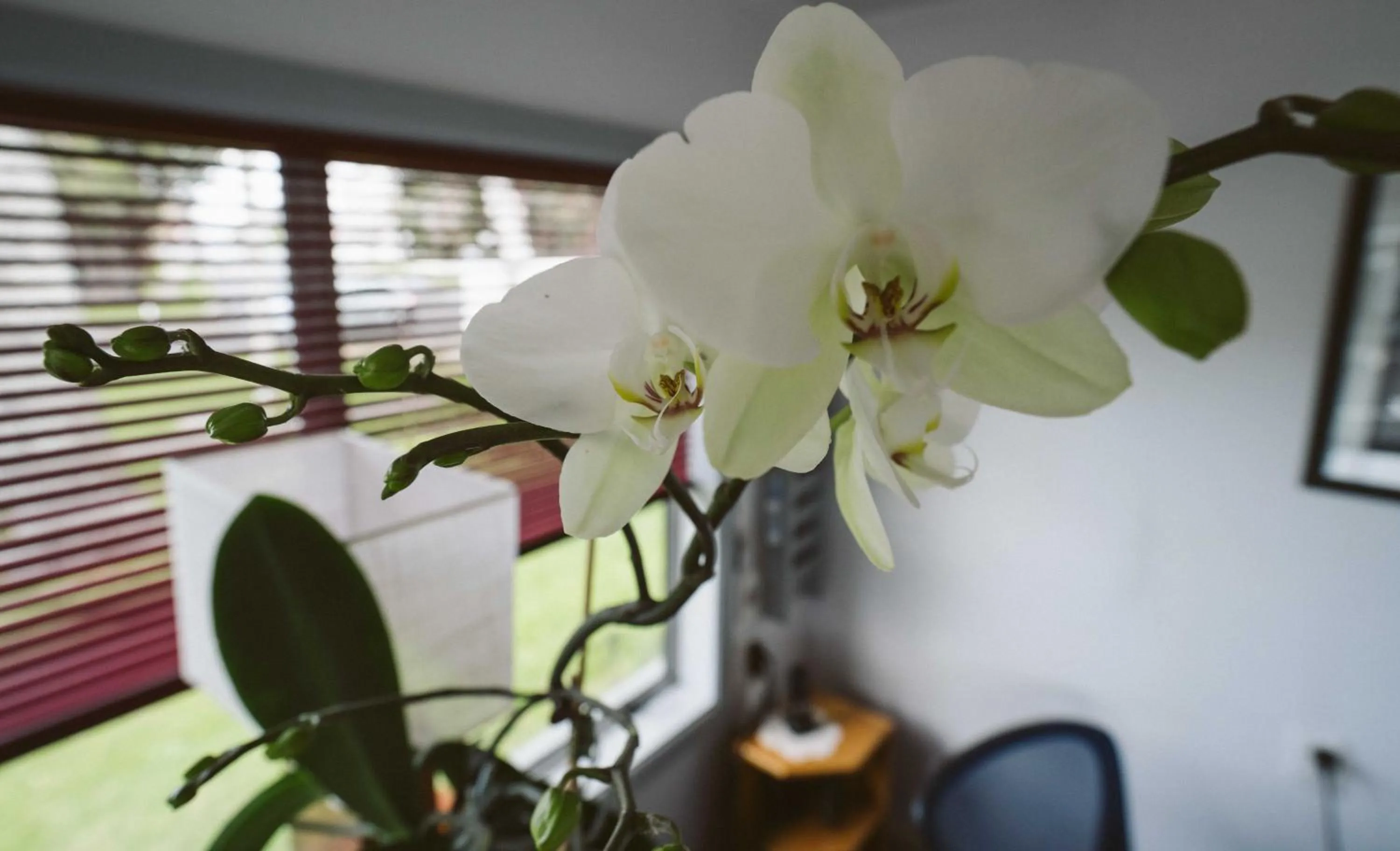 Decorative detail in Roselands Motel