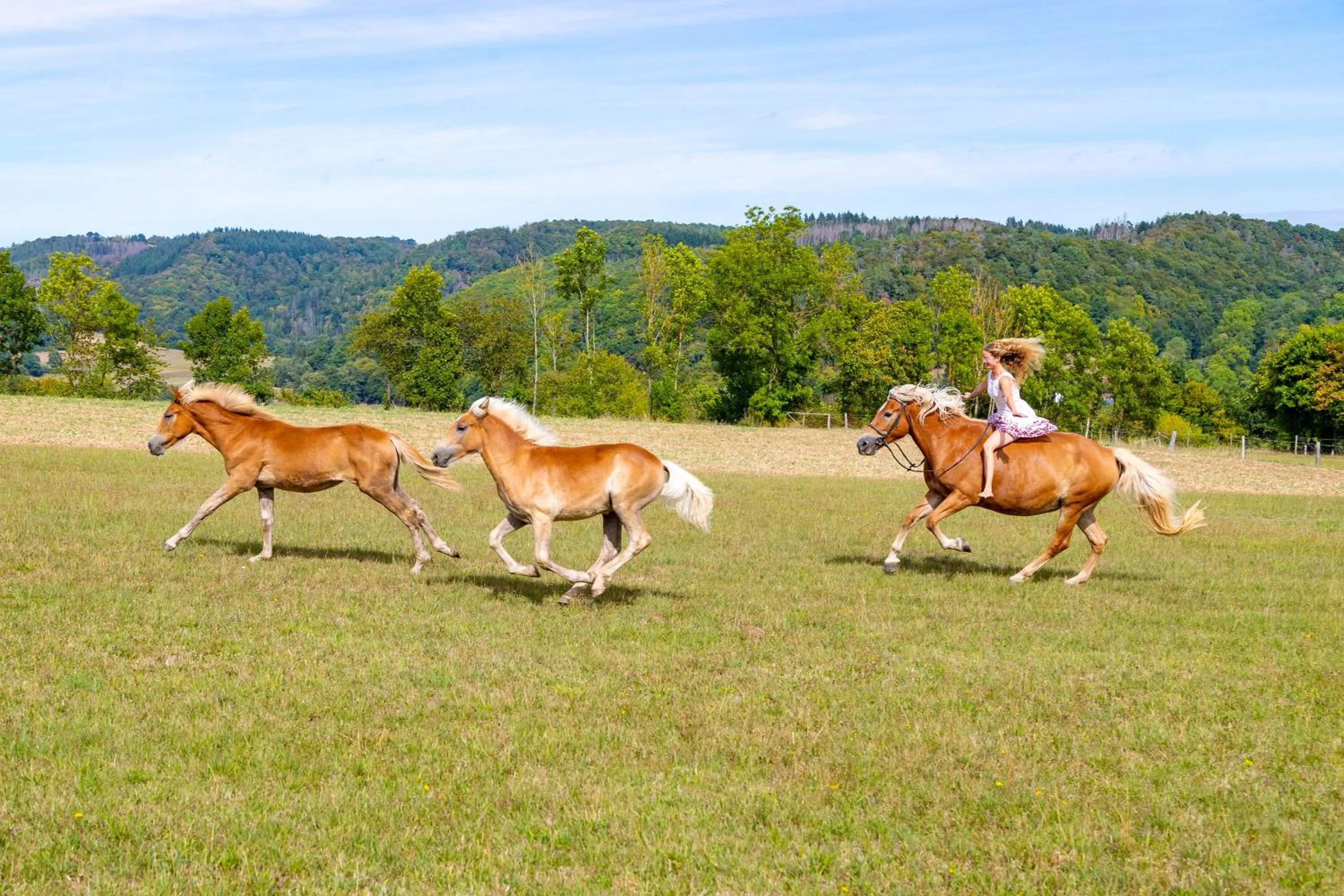 Property building in Hotel Freund - Privathotels Dr Lohbeck