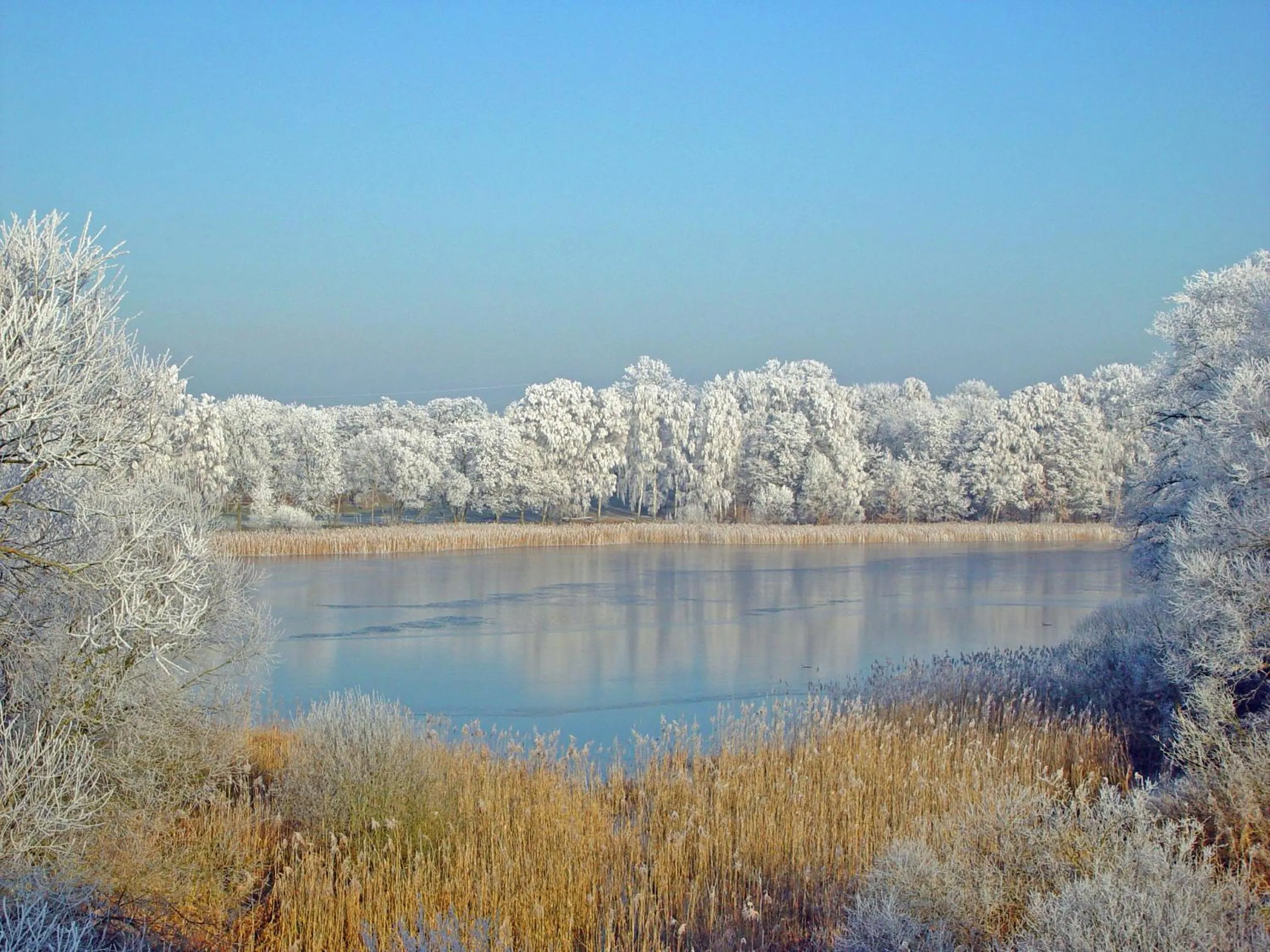 Hiking in Hotel & SPA Sommerfeld - Adults Only