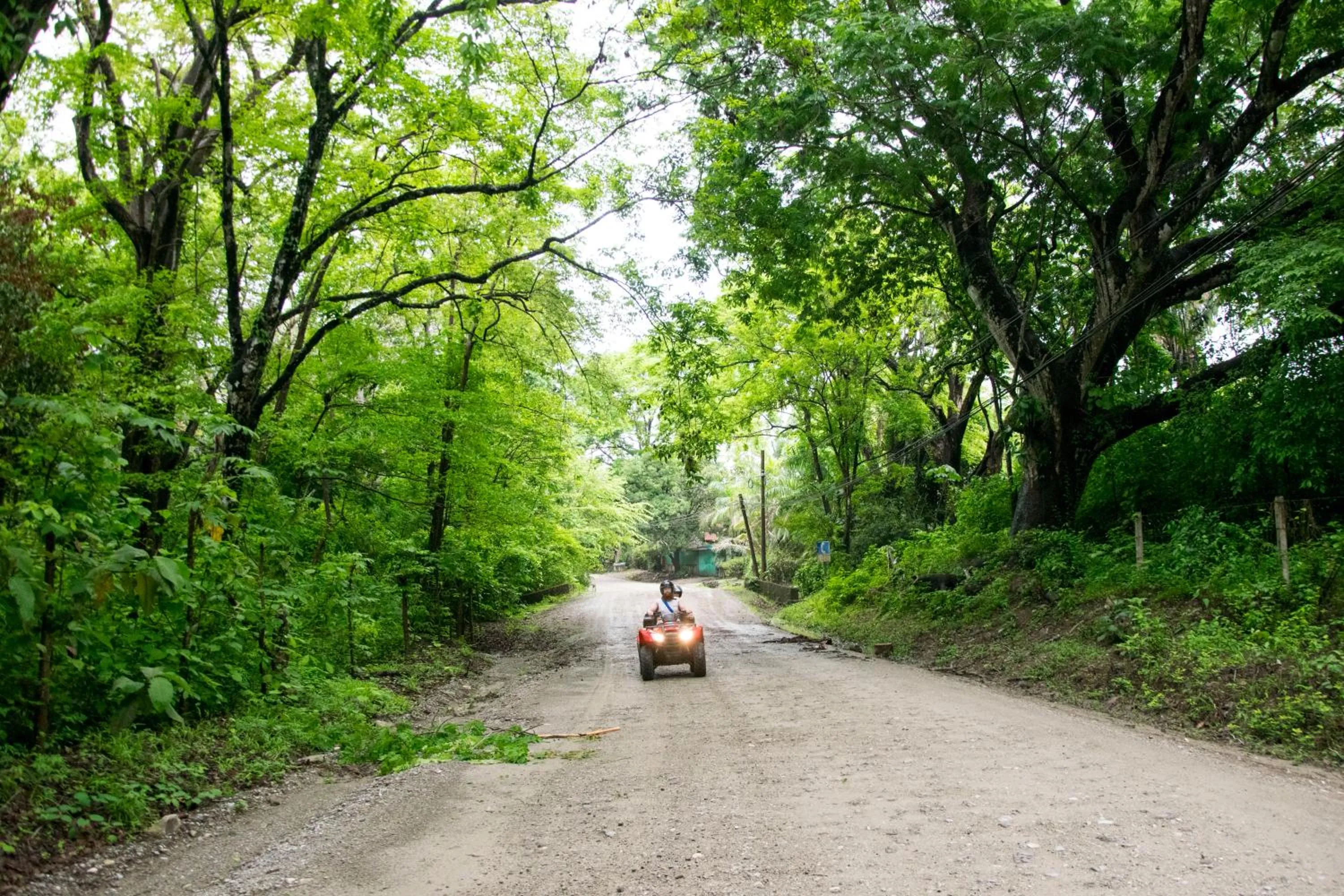 Activities in Hotel Vista de Olas