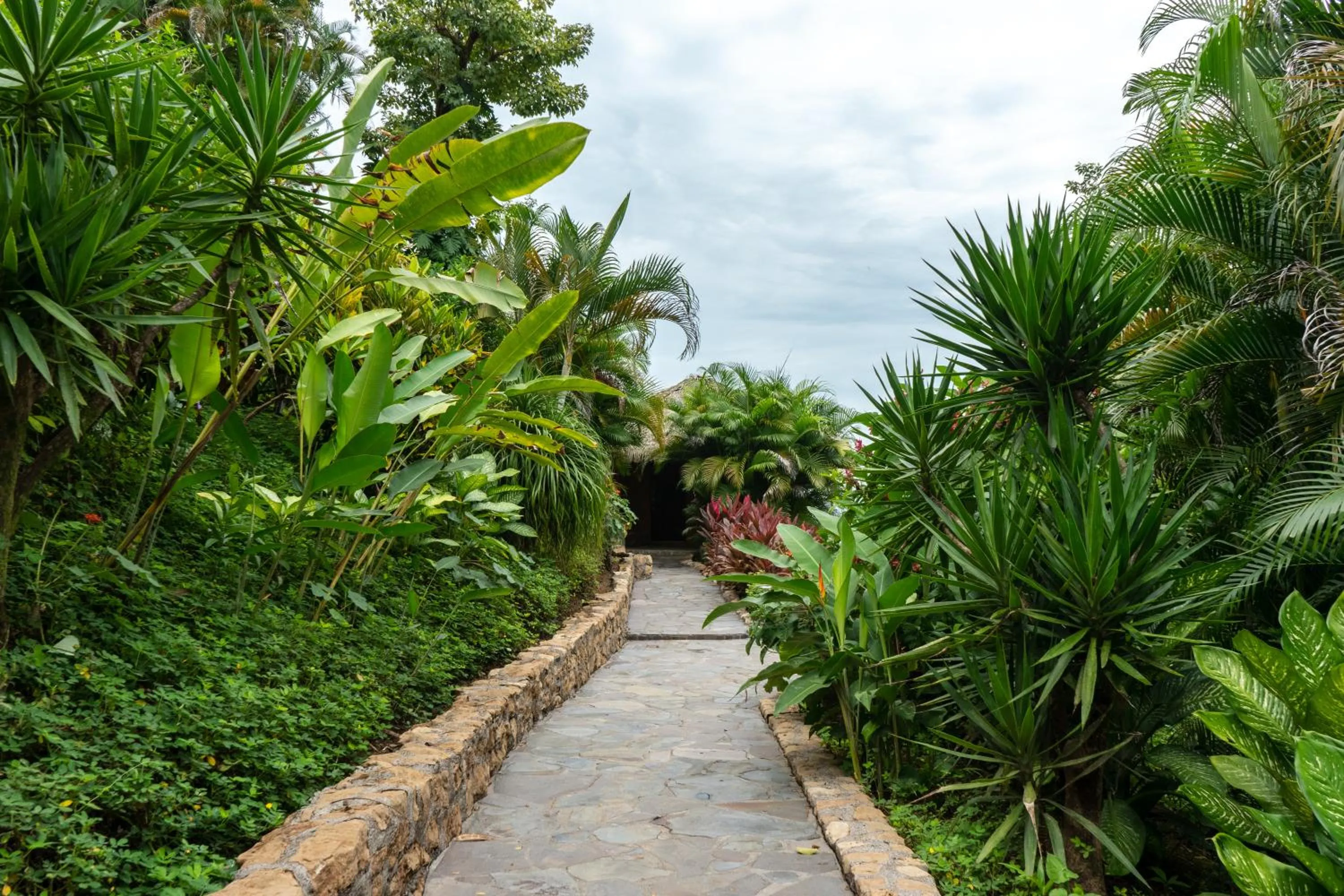 Natural landscape in Hotel Vista de Olas