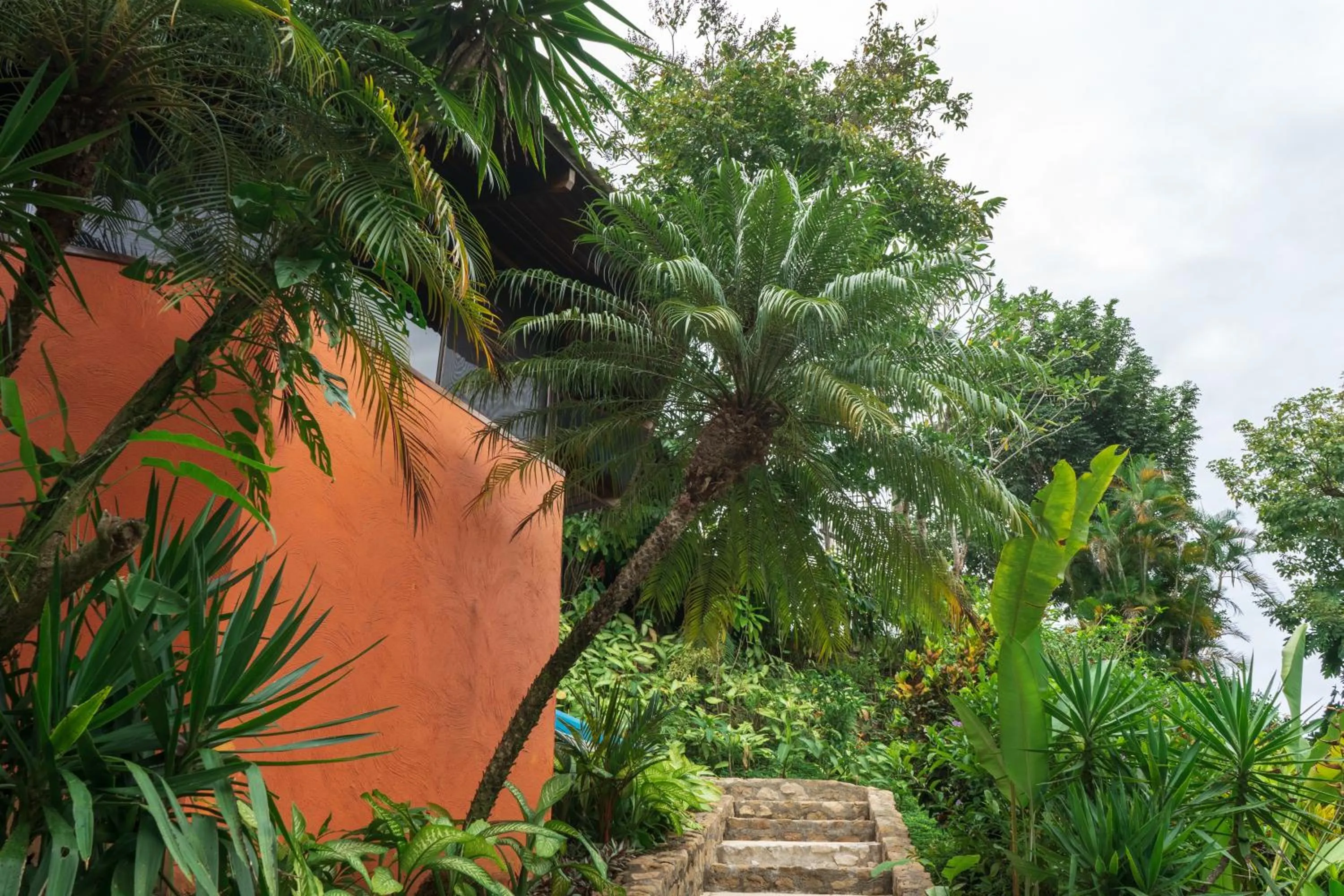 Garden in Hotel Vista de Olas