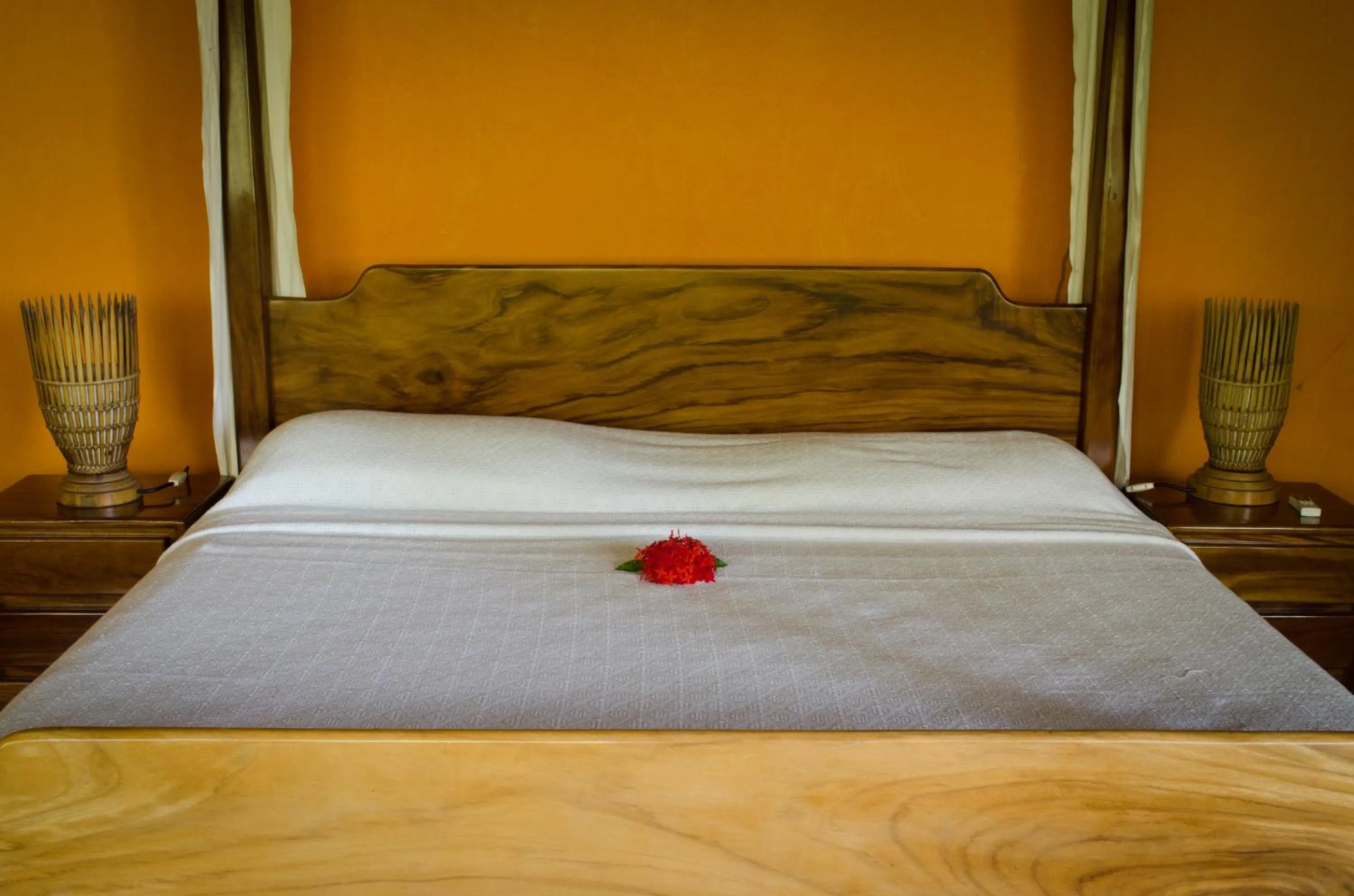 Patio, Bed in Hotel Vista de Olas