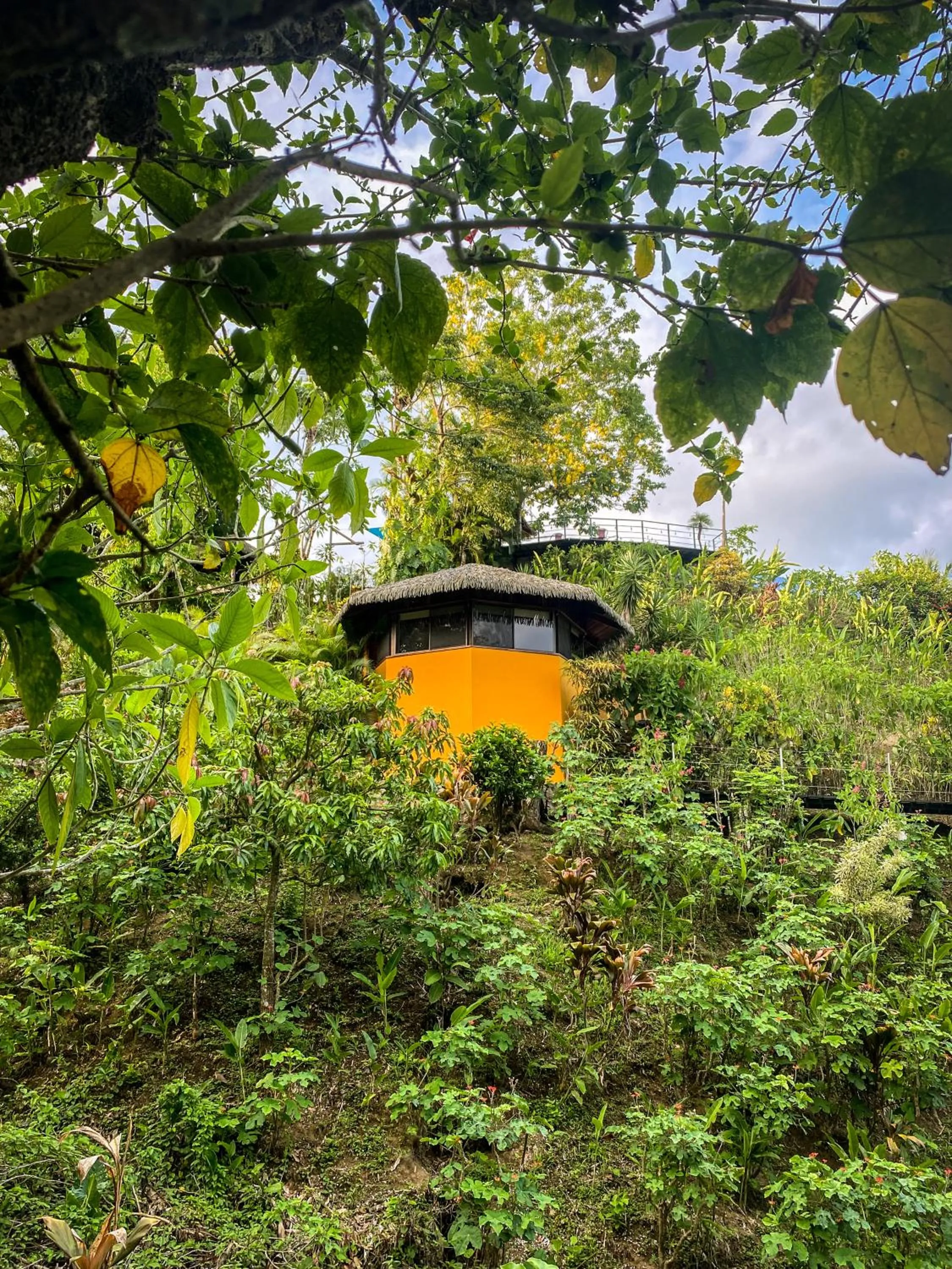 Natural landscape in Hotel Vista de Olas