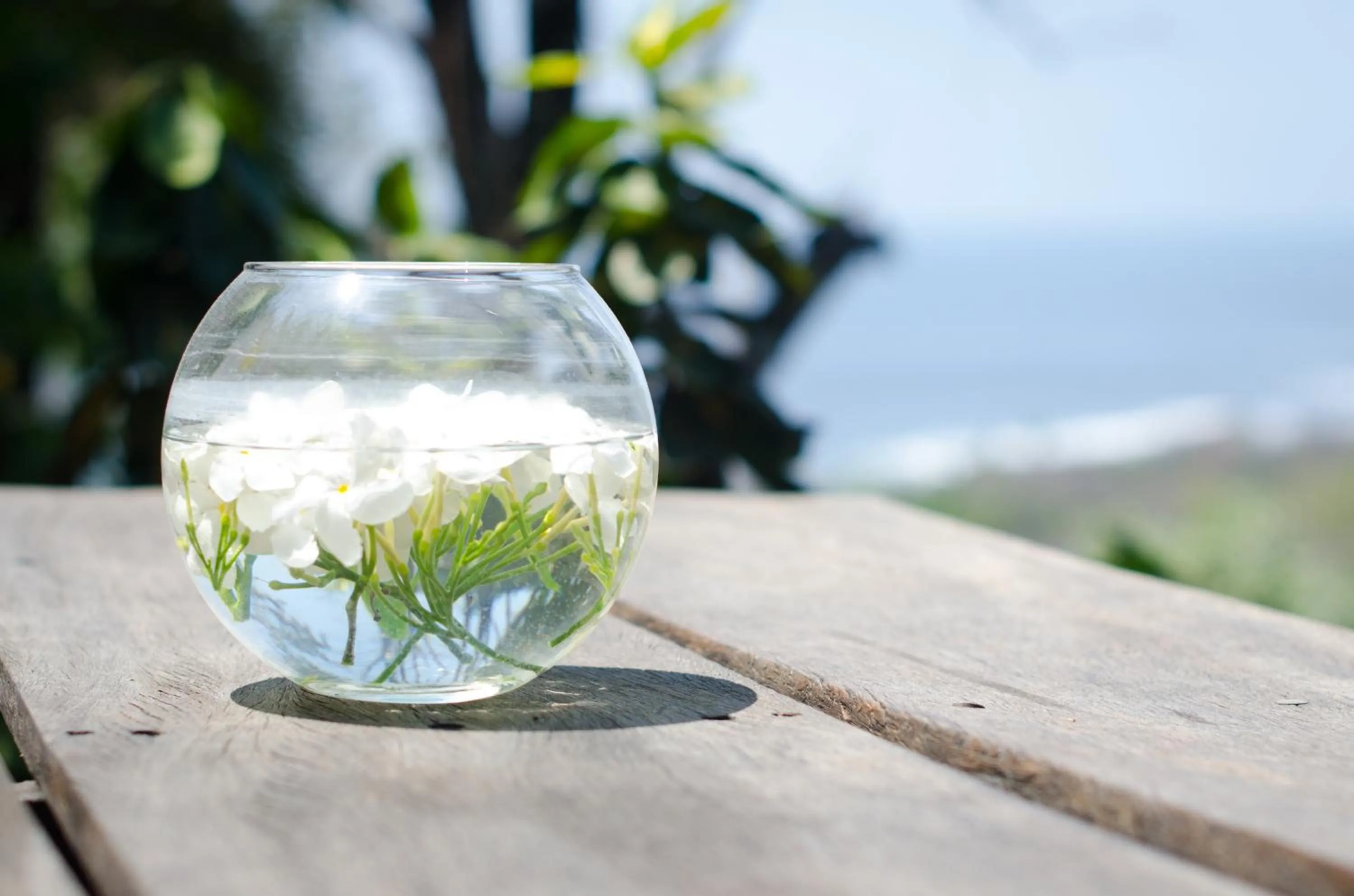 Natural landscape in Hotel Vista de Olas
