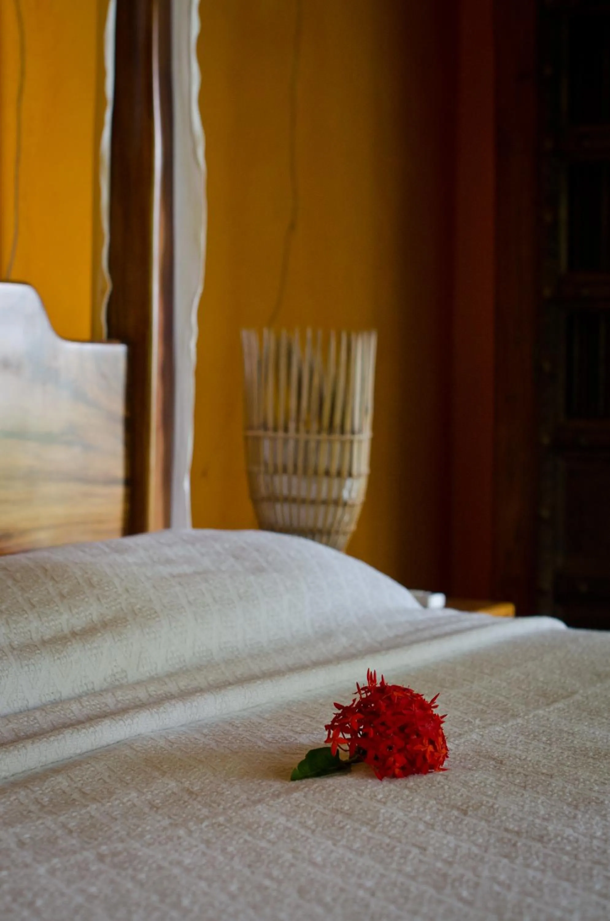 Bed in Hotel Vista de Olas