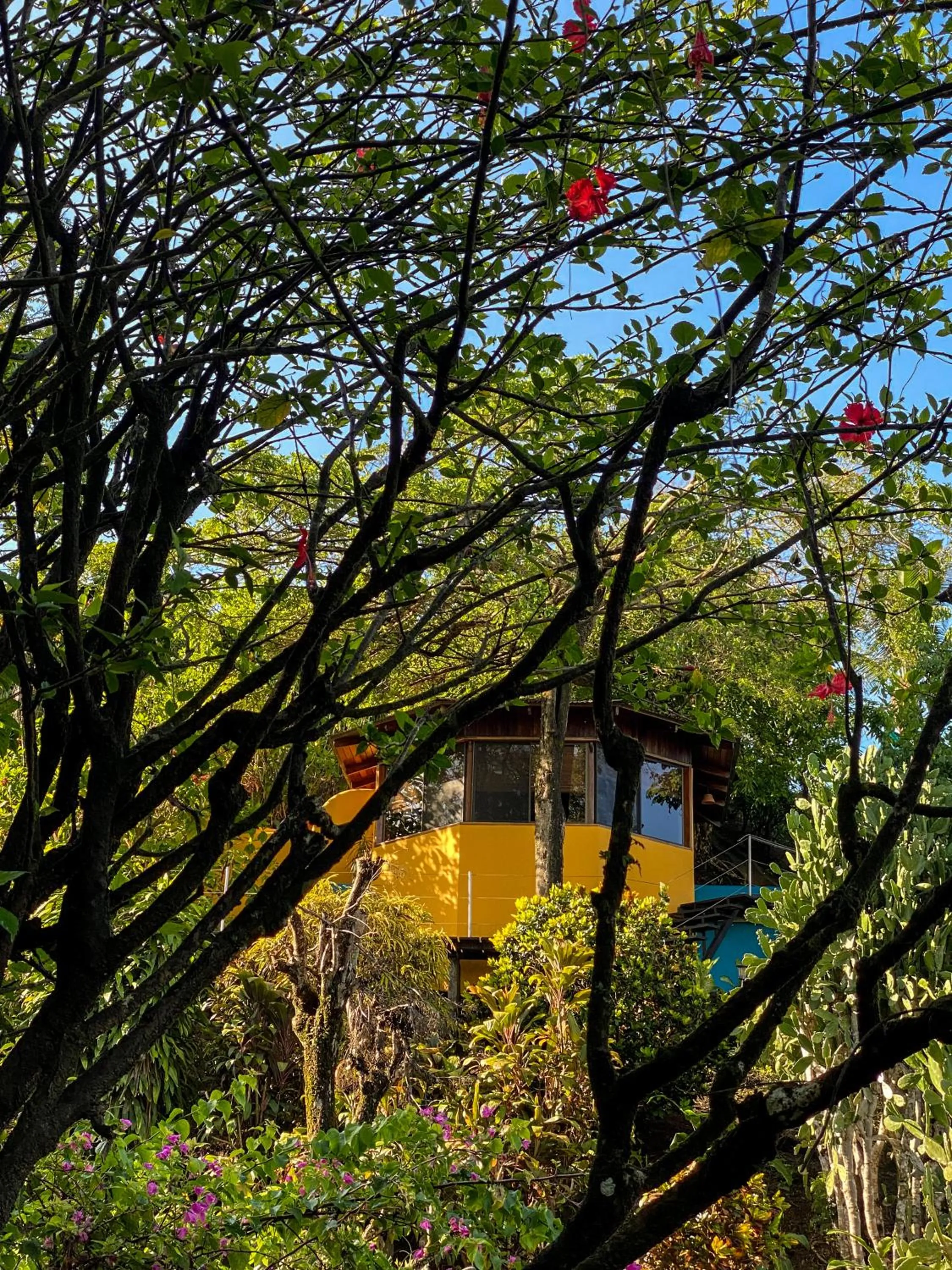 Garden in Hotel Vista de Olas