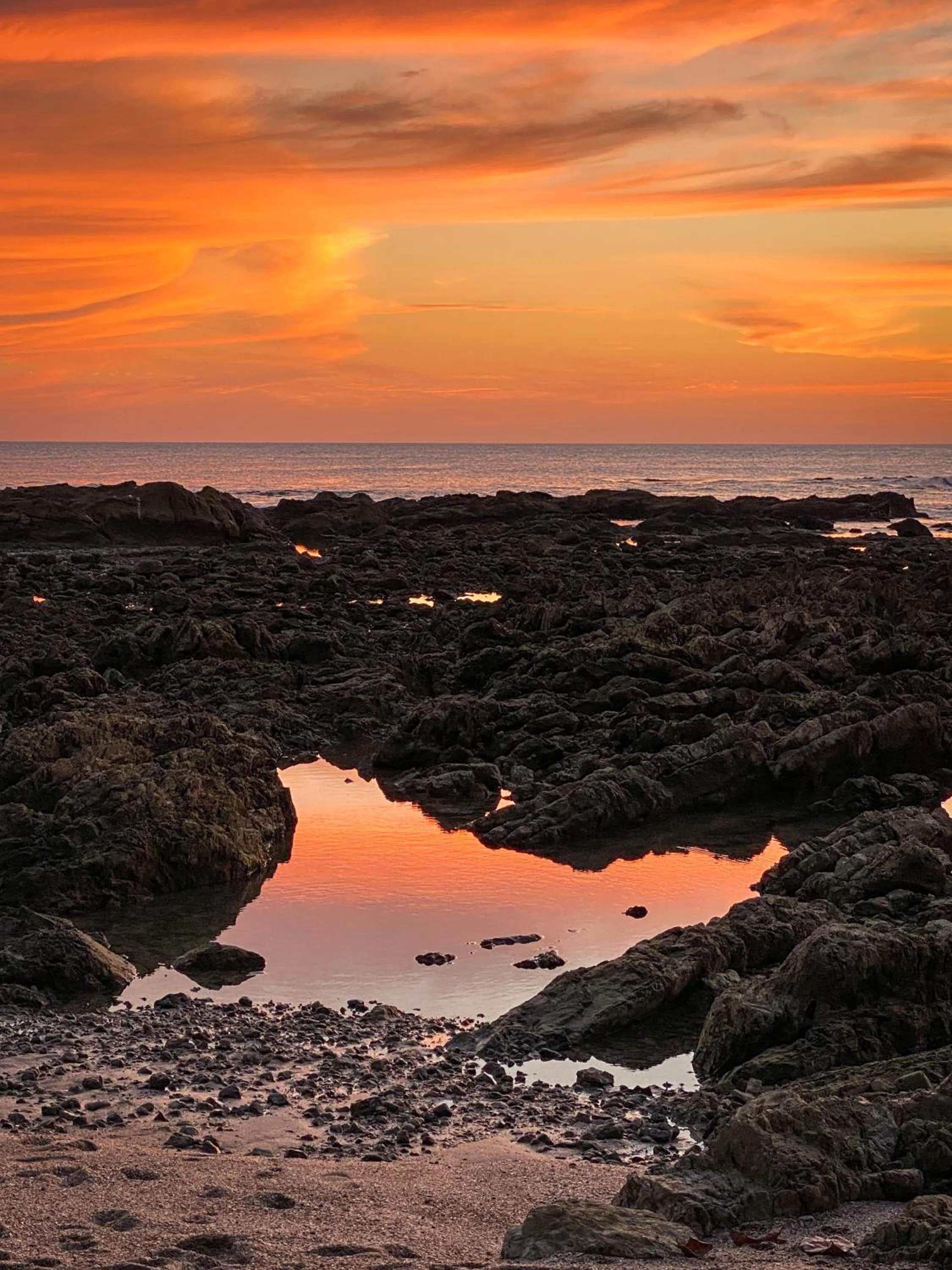 Natural landscape in Hotel Vista de Olas
