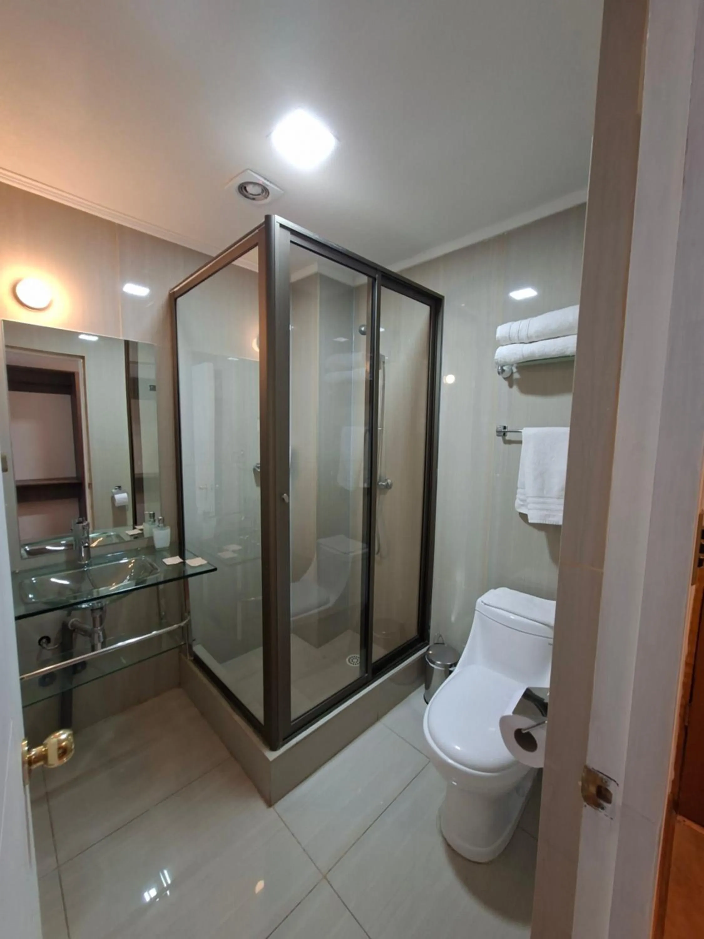 Bathroom in Hotel Los Andes