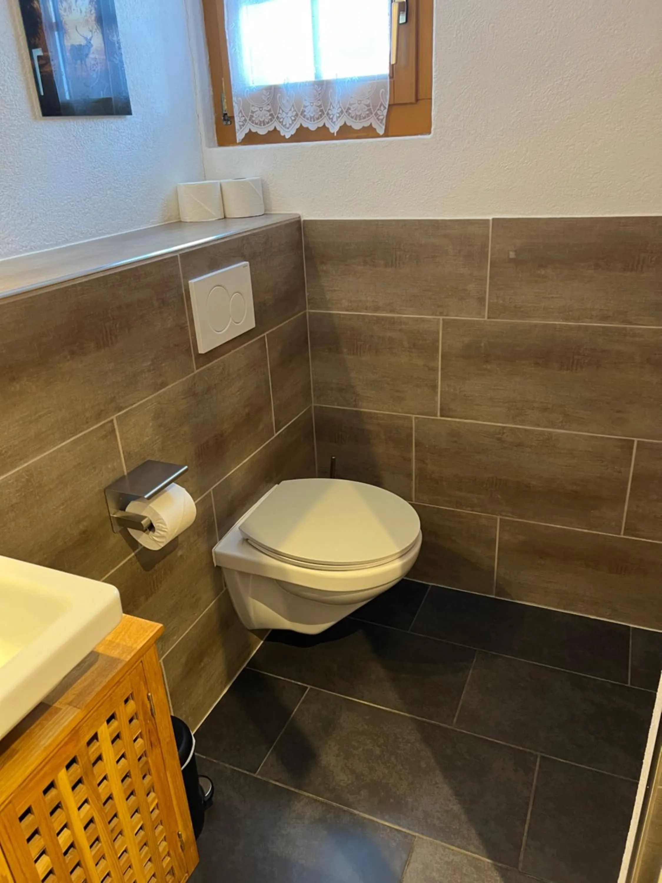 Toilet in Hotel Jägerstübli Grindelwald