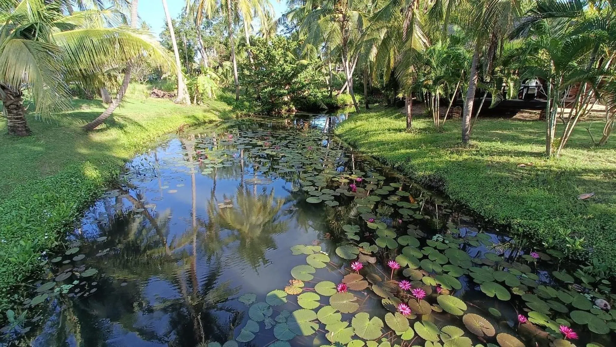 Natural landscape in Suan Bankrut Beach Resort