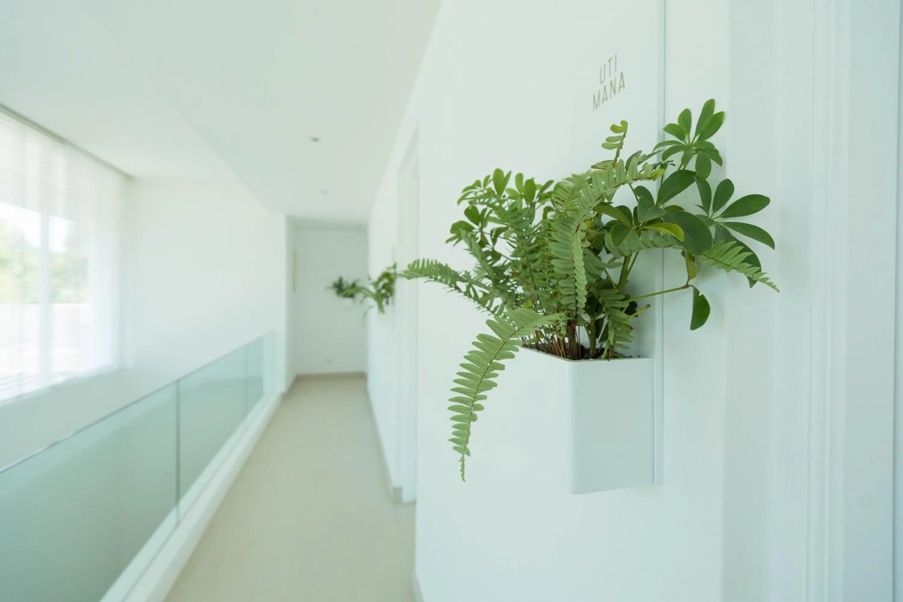 Living room in Cove 55