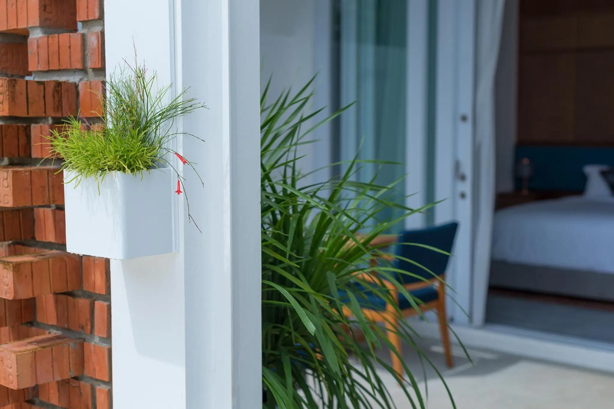 Balcony/Terrace in Cove 55