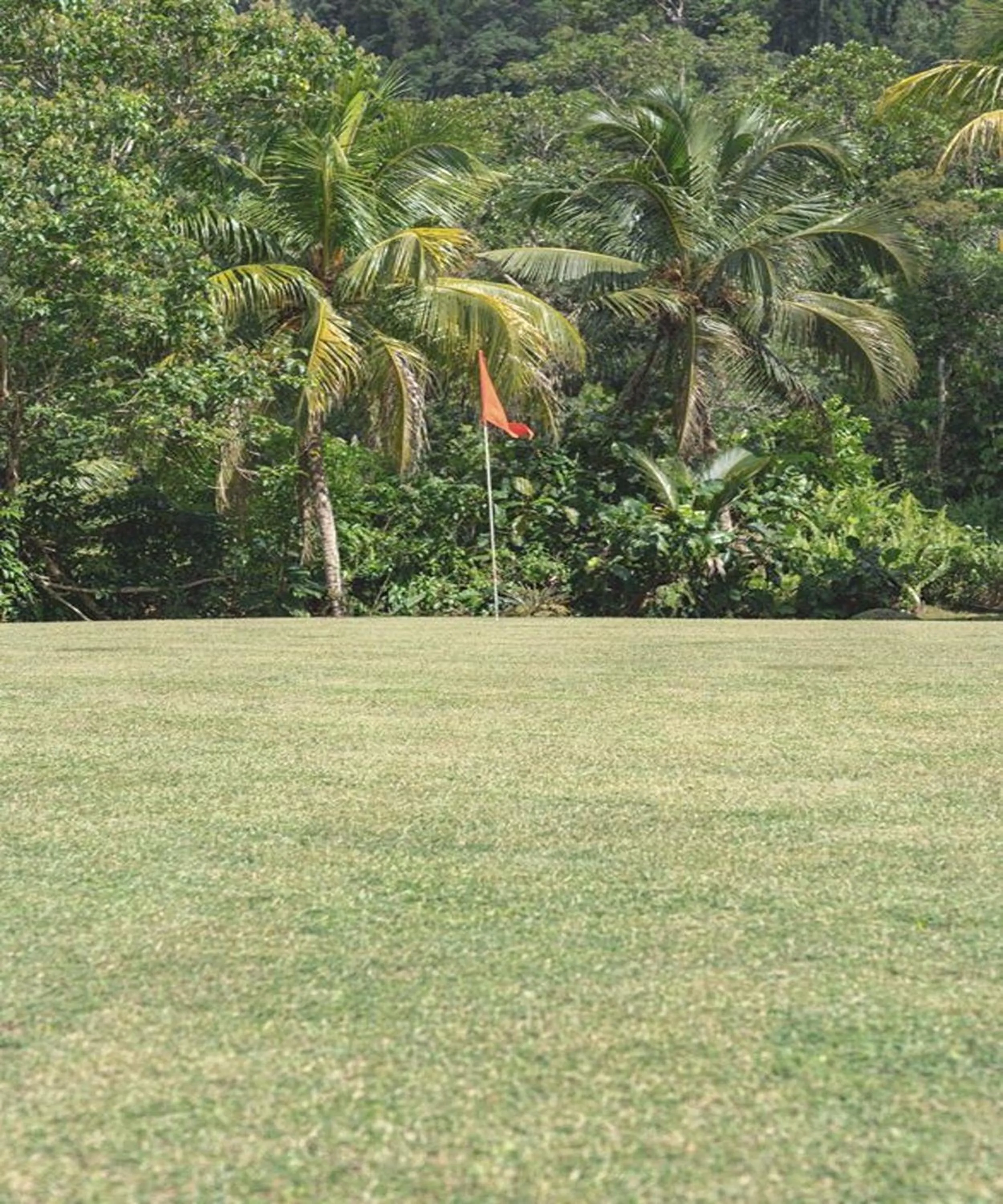 Golfcourse in Cove 55