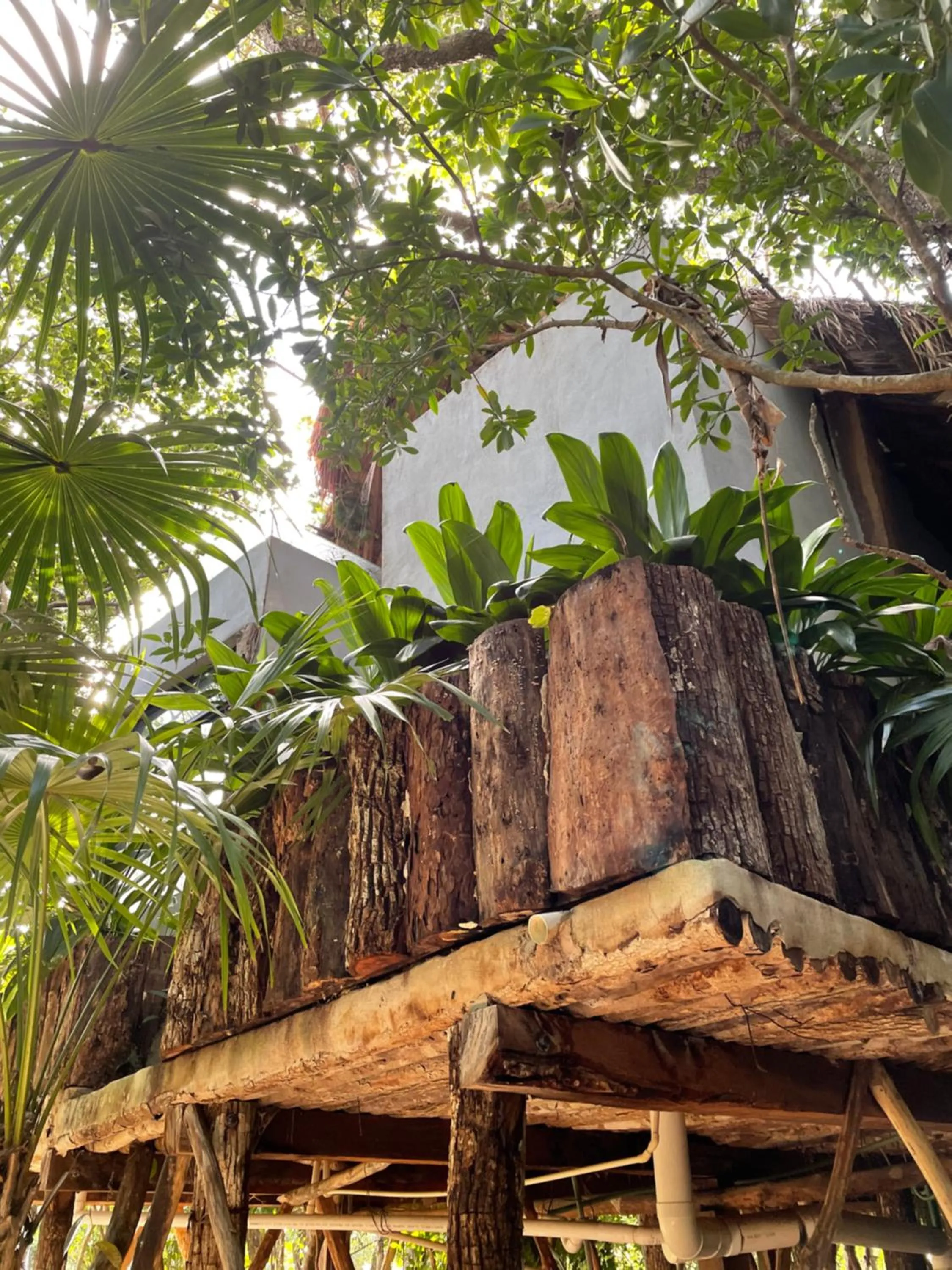 Garden view in Roc Jungle Tulum