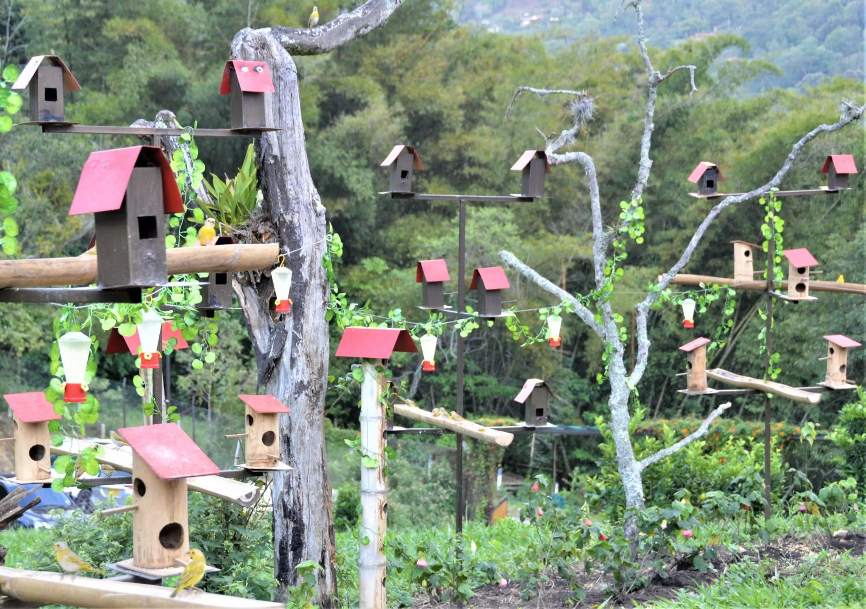 Day in Natubri Ecohotel