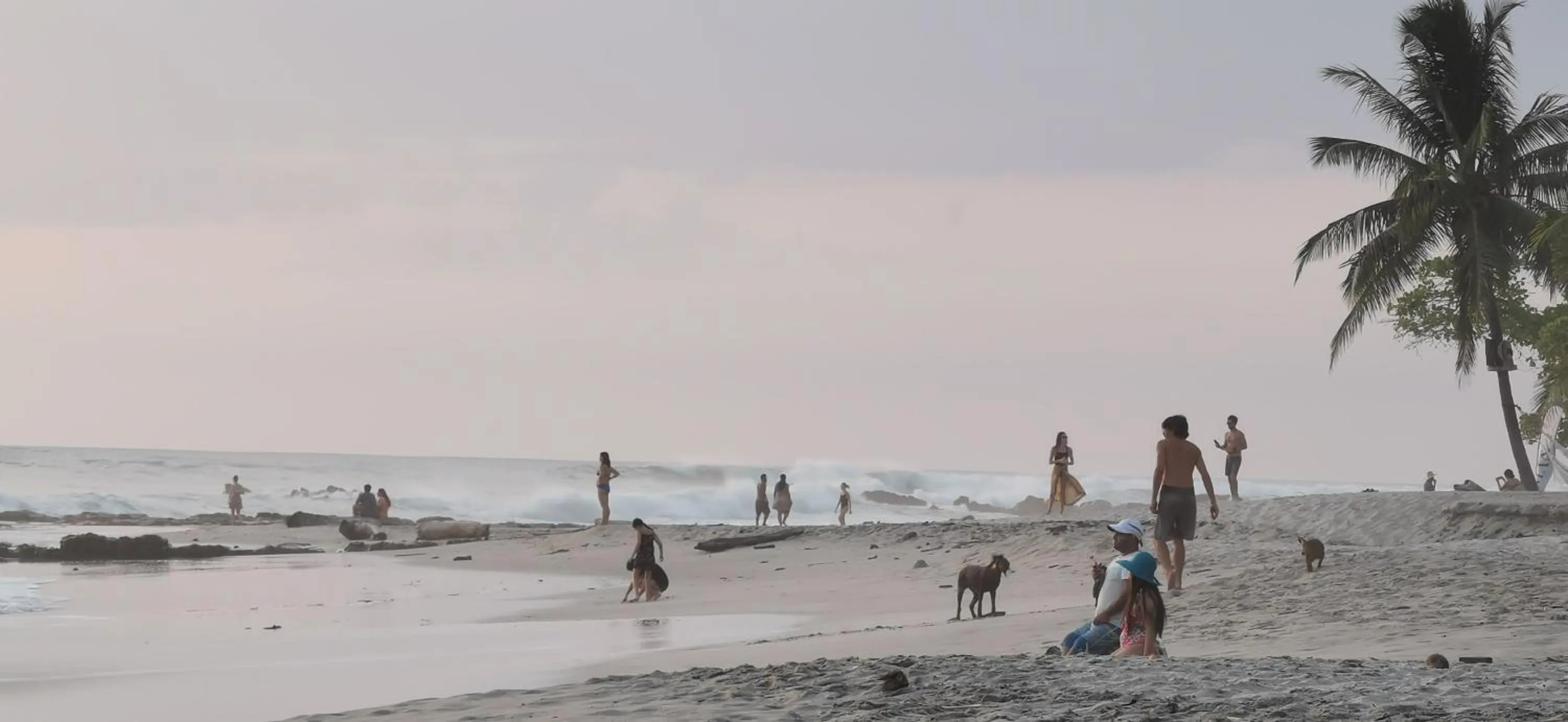 Day in Hotel Ritmo Tropical - Pool and Breakfast