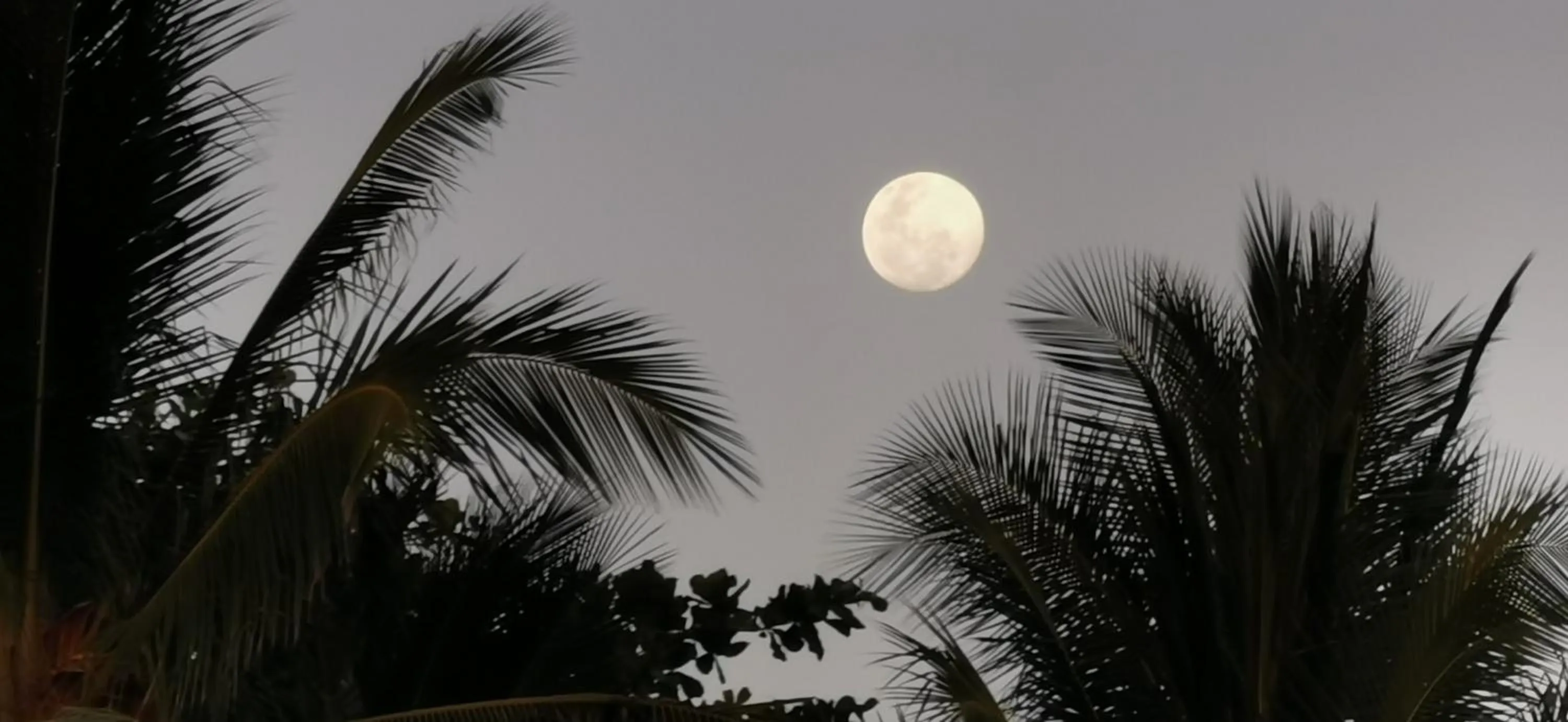 Night in Hotel Ritmo Tropical - Pool and Breakfast