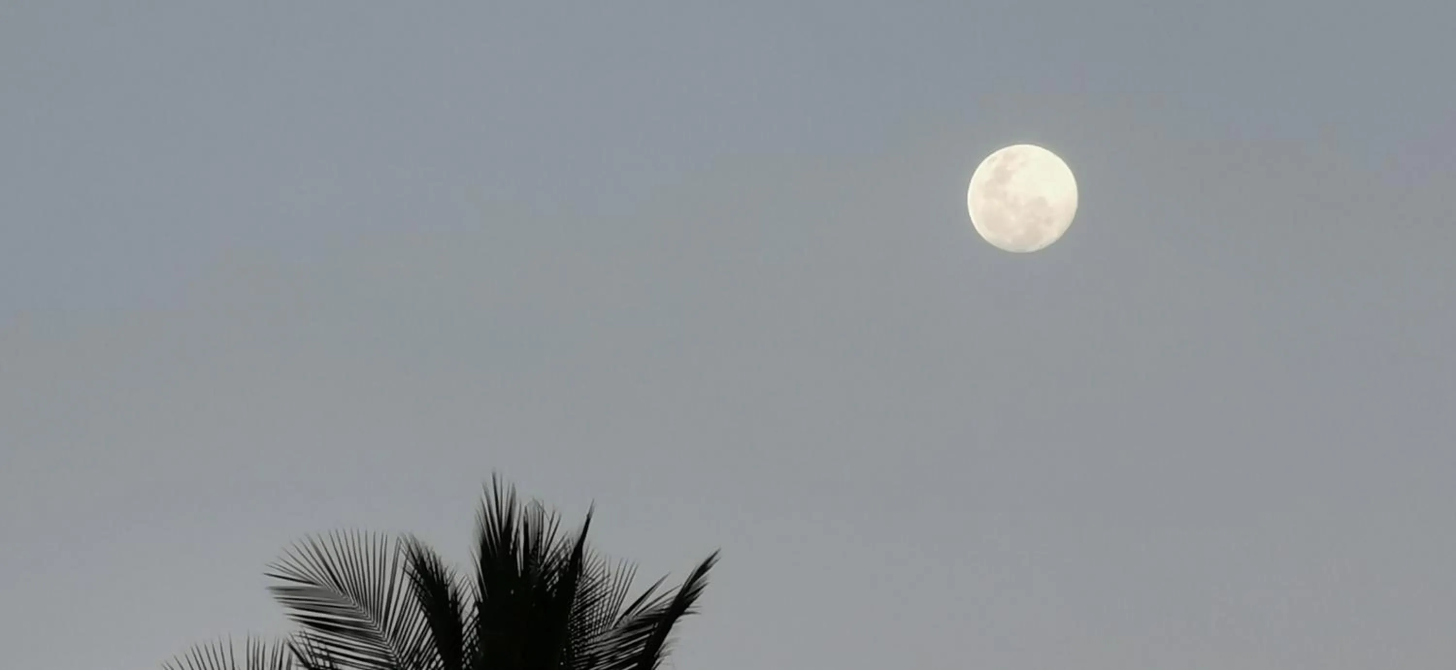 Night in Hotel Ritmo Tropical - Pool and Breakfast