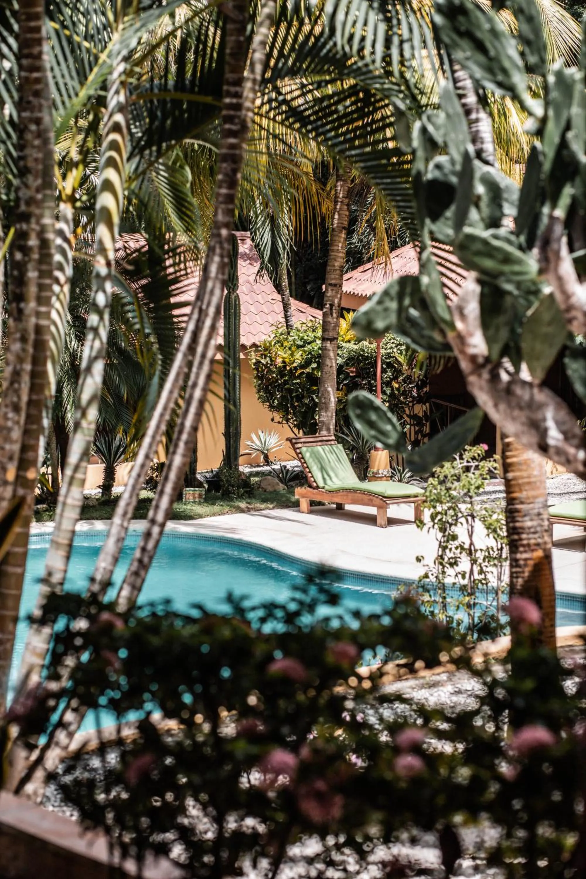 Pool view in Hotel Ritmo Tropical - Pool and Breakfast