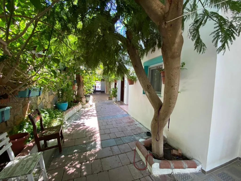 View (from property/room) in Manolya Hotel