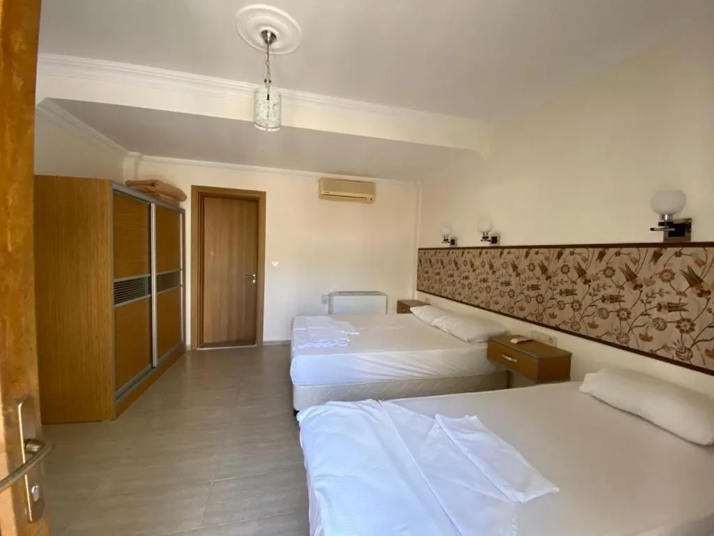 View (from property/room) in Manolya Hotel