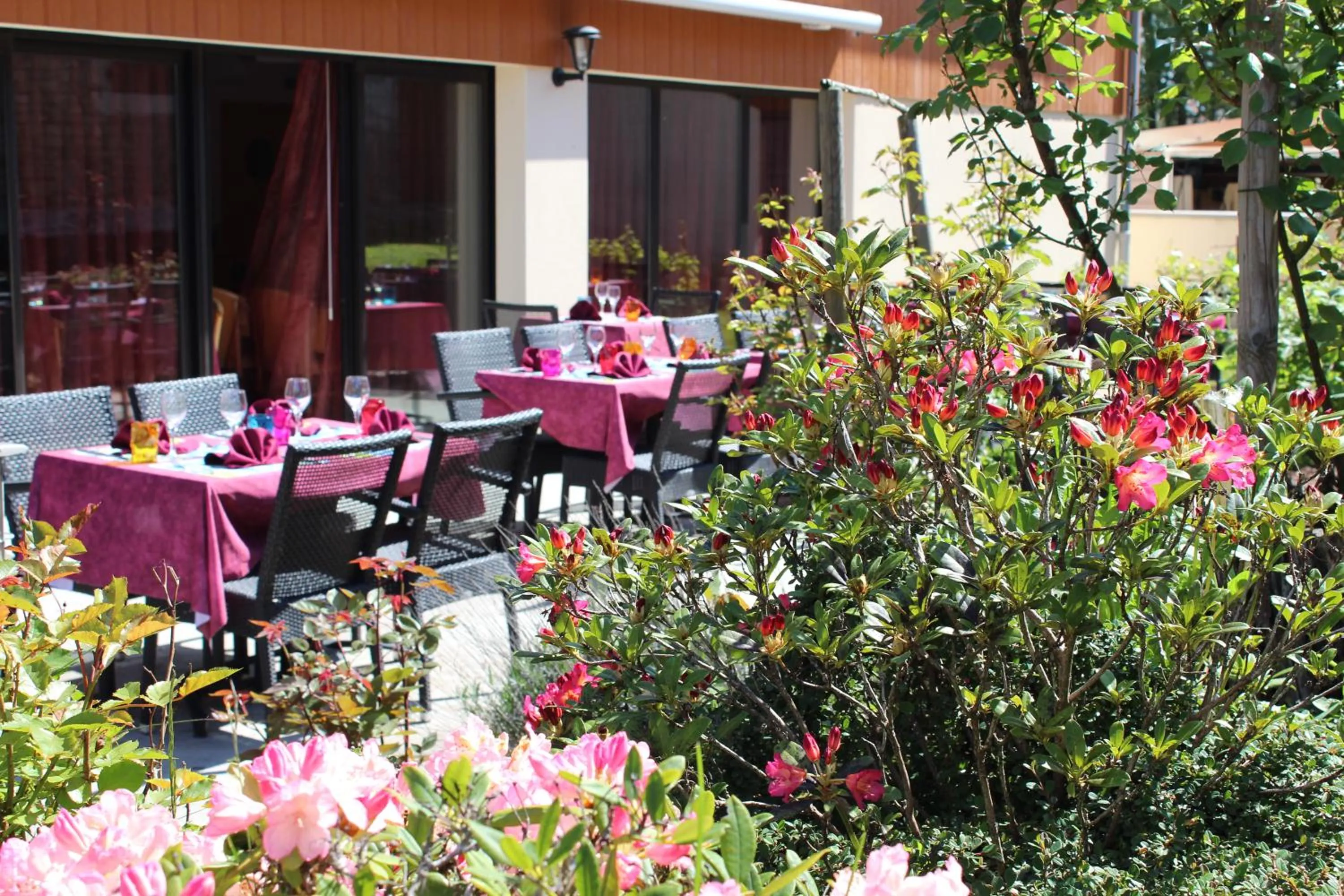 Restaurant/places to eat in Le Champ des Lys