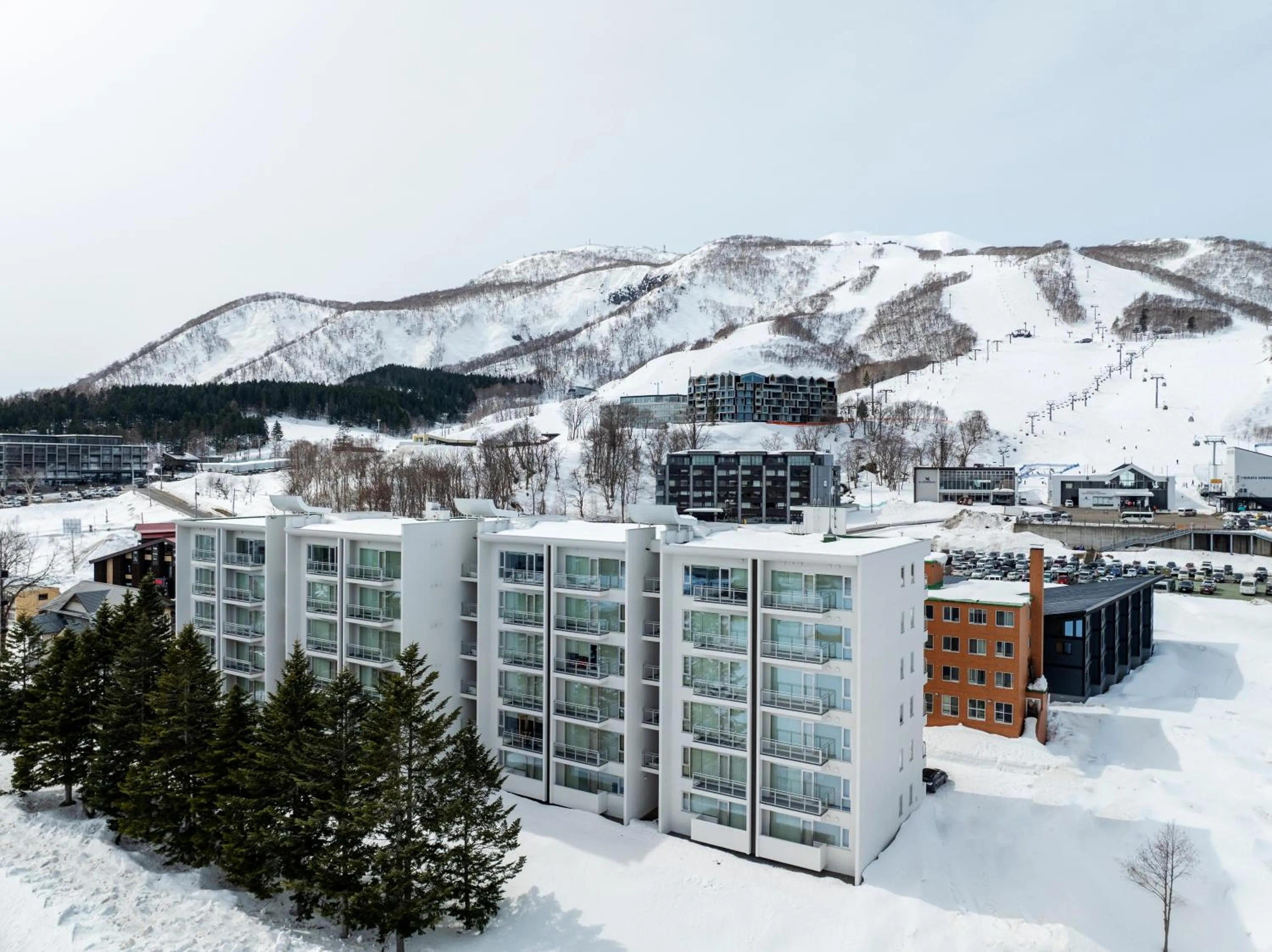 Winter in Niseko Landmark View